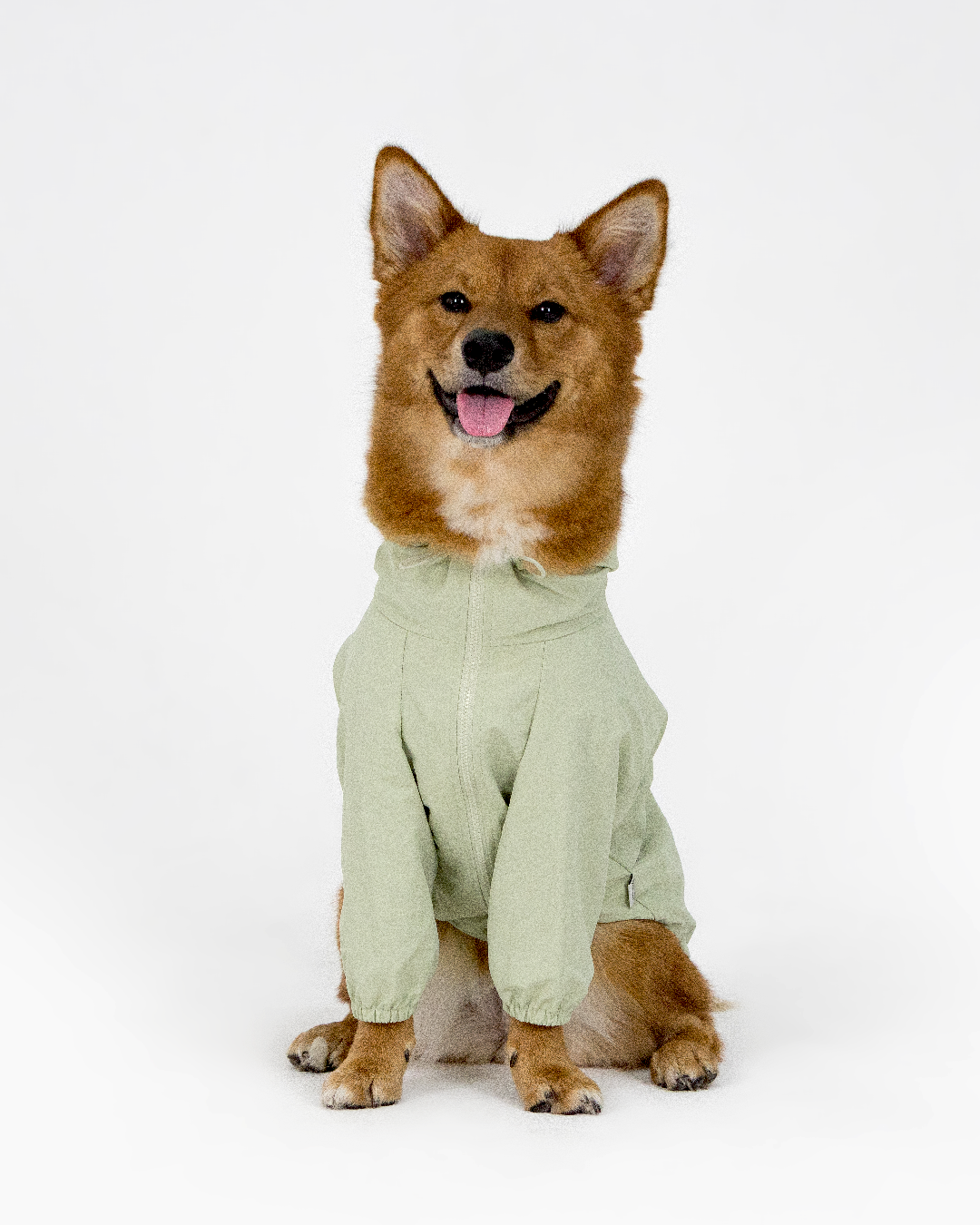 Paaawr｜經典防潑水風衣外套 Signature Windbreaker_Green