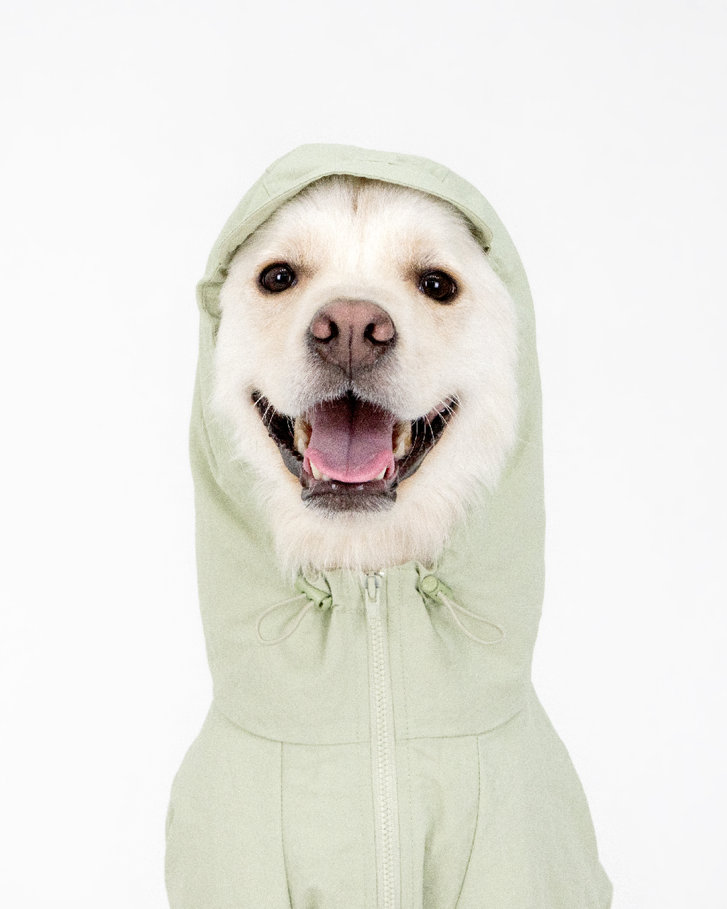 Paaawr｜經典防潑水風衣外套 Signature Windbreaker_Green