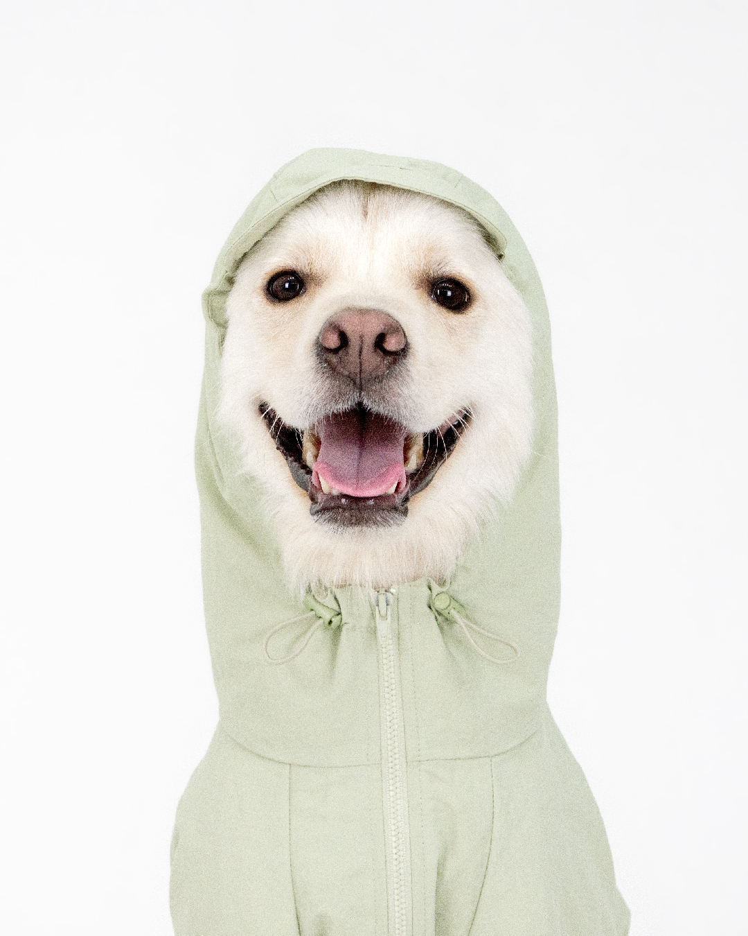 Paaawr｜經典防潑水風衣外套 Signature Windbreaker_Green