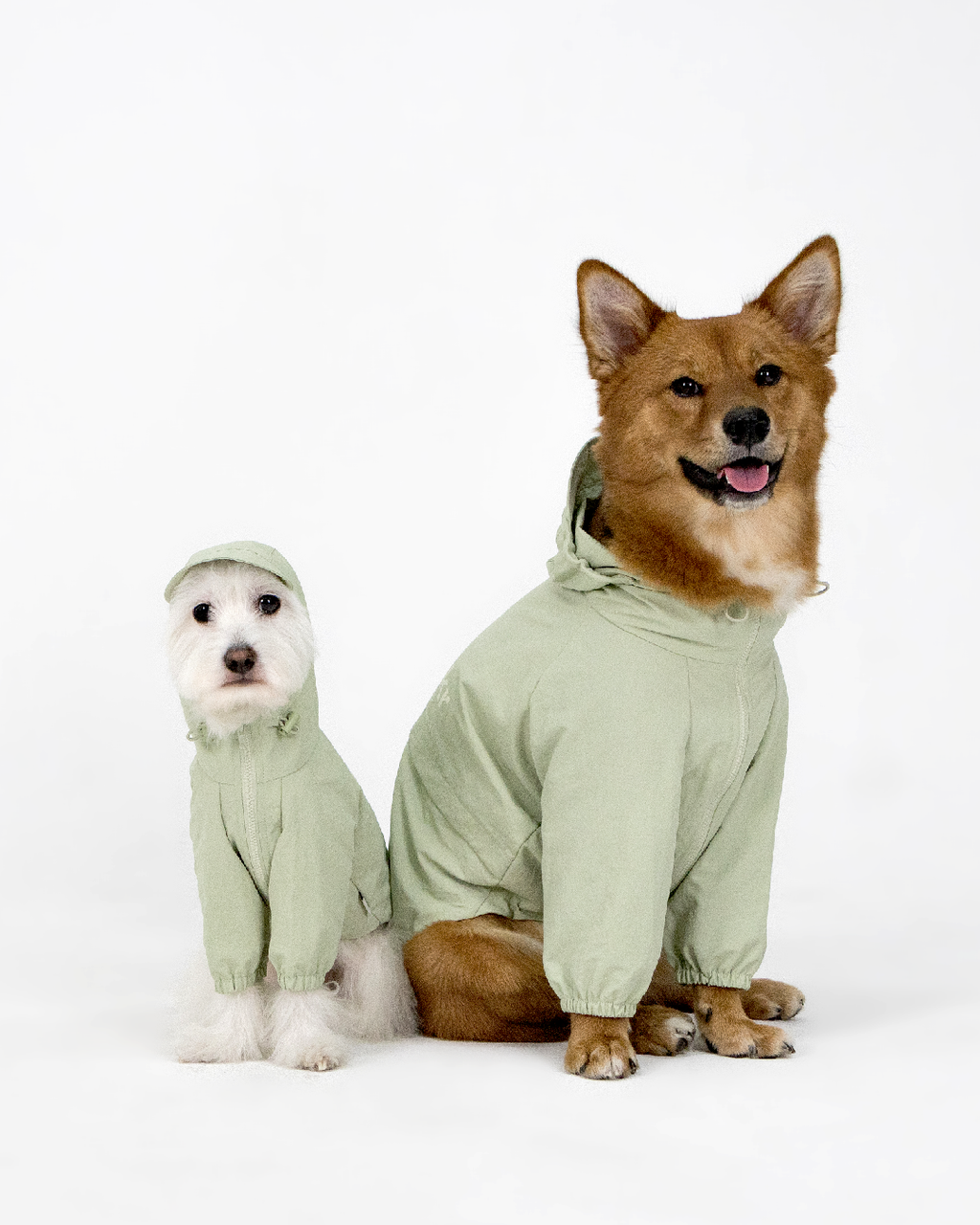 Paaawr｜經典防潑水風衣外套 Signature Windbreaker_Green