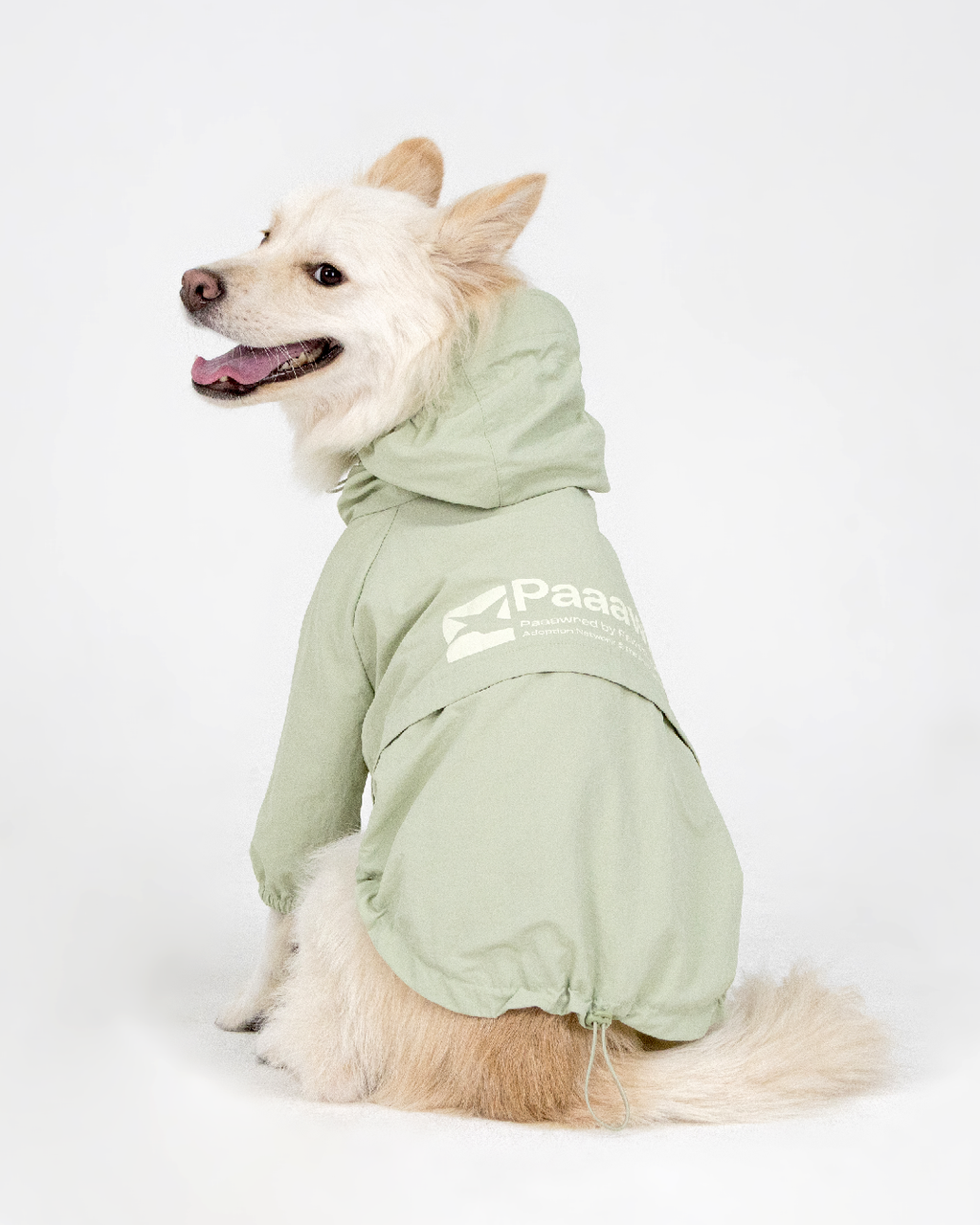 Paaawr｜經典防潑水風衣外套 Signature Windbreaker_Green