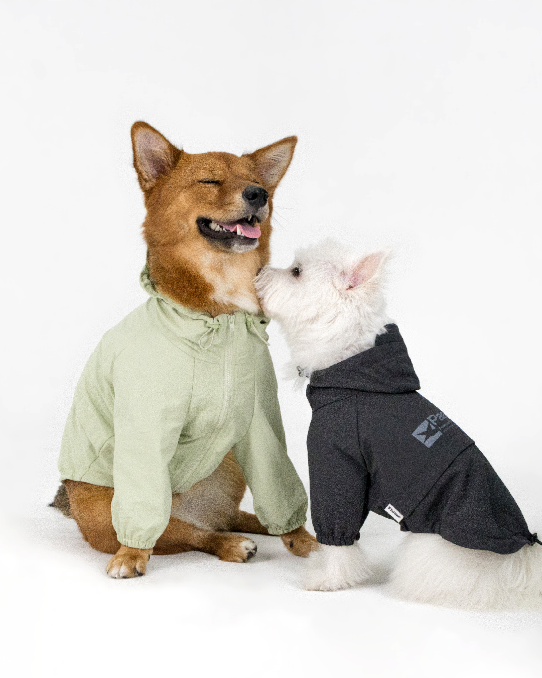 Paaawr｜經典防潑水風衣外套 Signature Windbreaker_Green