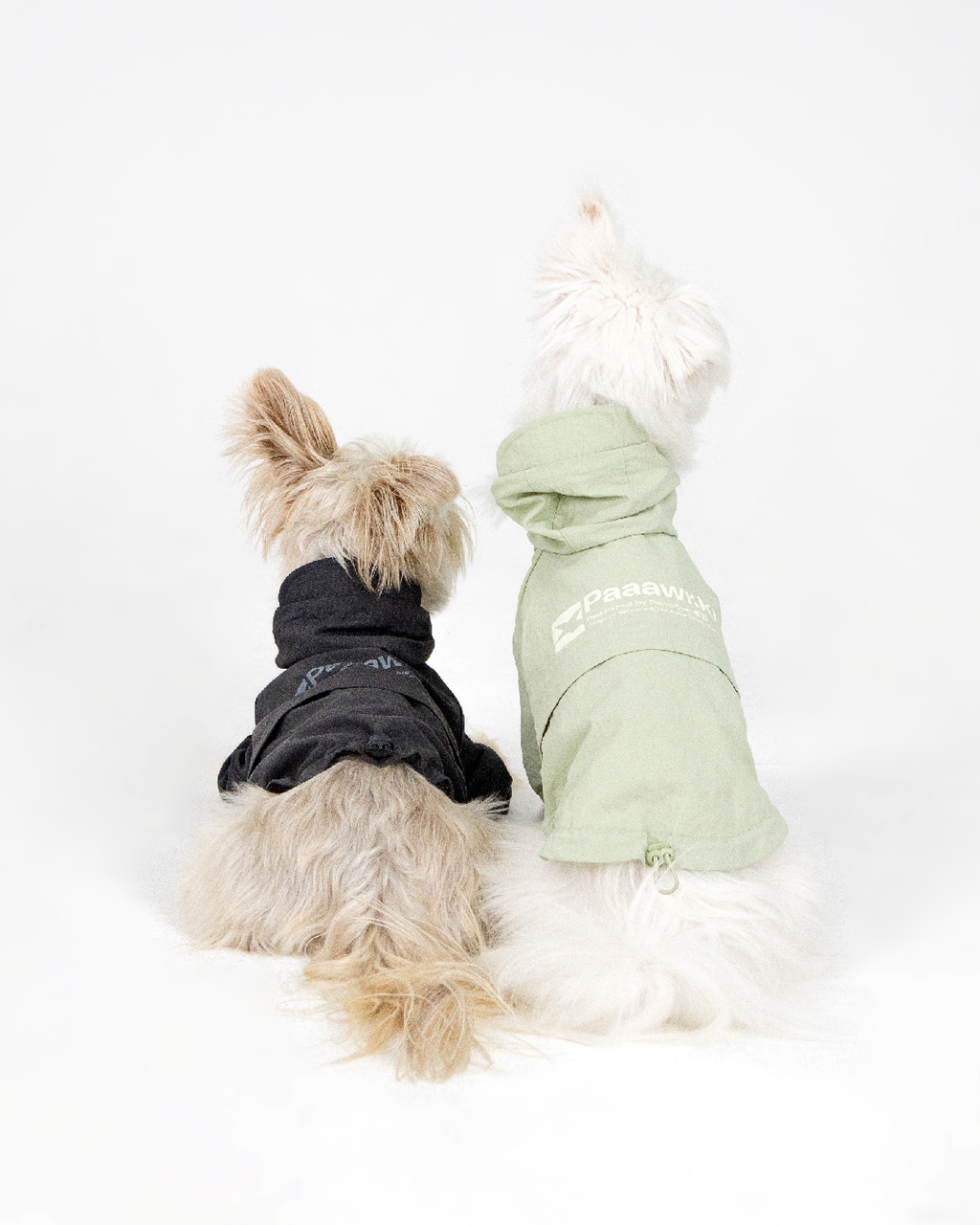 Paaawr｜經典防潑水風衣外套 Signature Windbreaker_Green