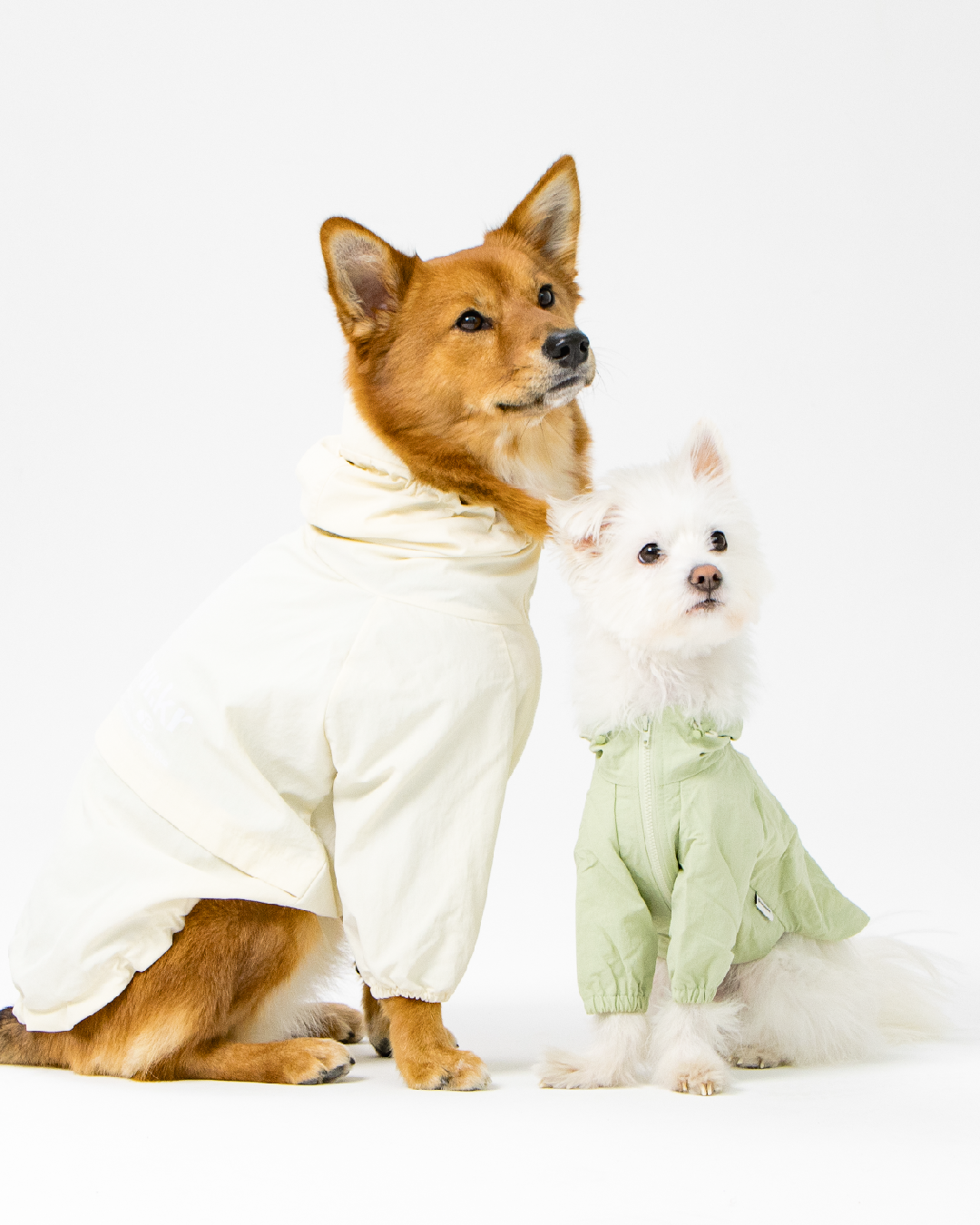 Paaawr｜經典防潑水風衣外套 Signature Windbreaker_Vanilla