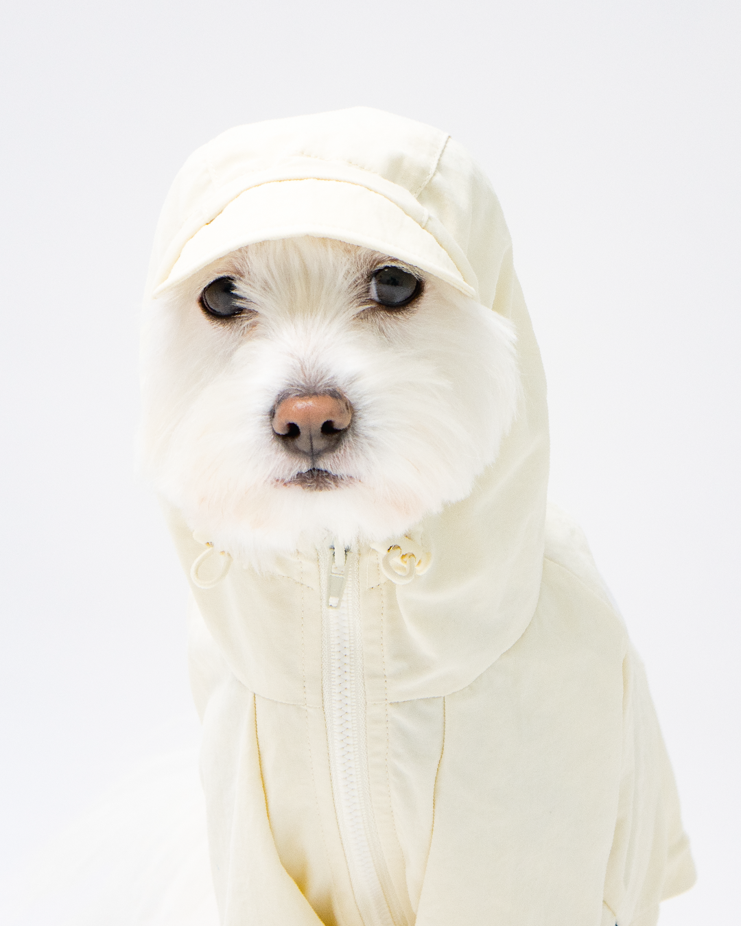Paaawr｜經典防潑水風衣外套 Signature Windbreaker_Vanilla