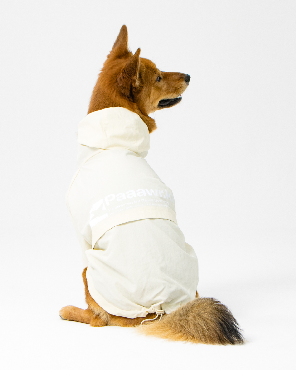 Paaawr｜經典防潑水風衣外套 Signature Windbreaker_Vanilla