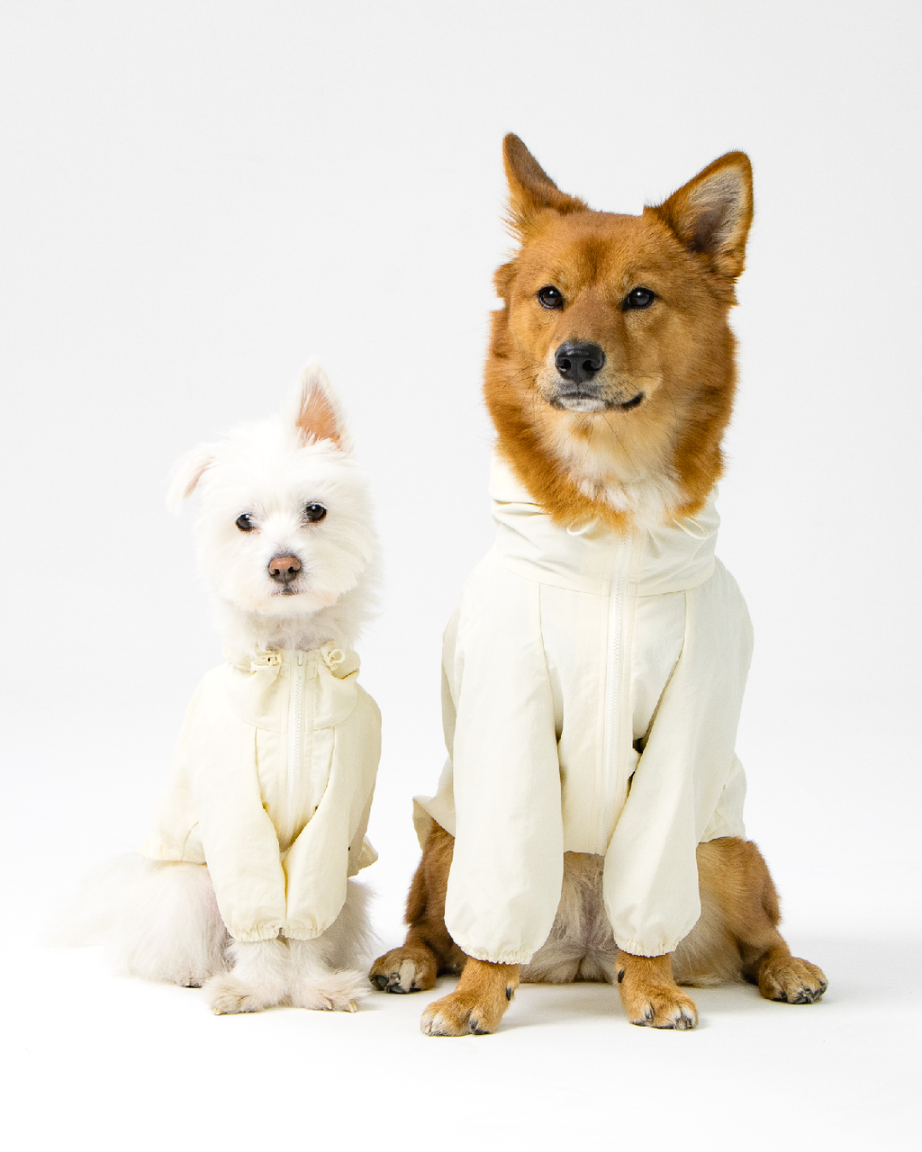 Paaawr｜經典防潑水風衣外套 Signature Windbreaker_Vanilla