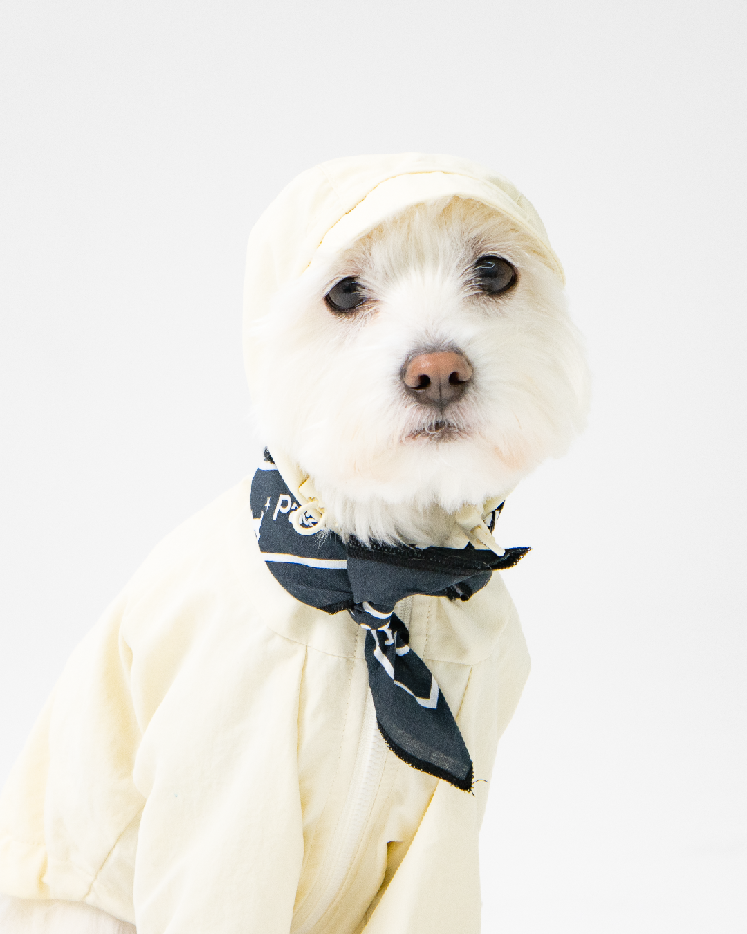 Paaawr｜經典防潑水風衣外套 Signature Windbreaker_Vanilla