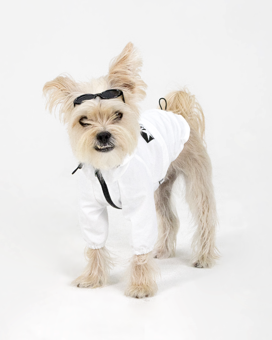 Paaawr｜經典防潑水風衣外套 Signature Windbreaker_White