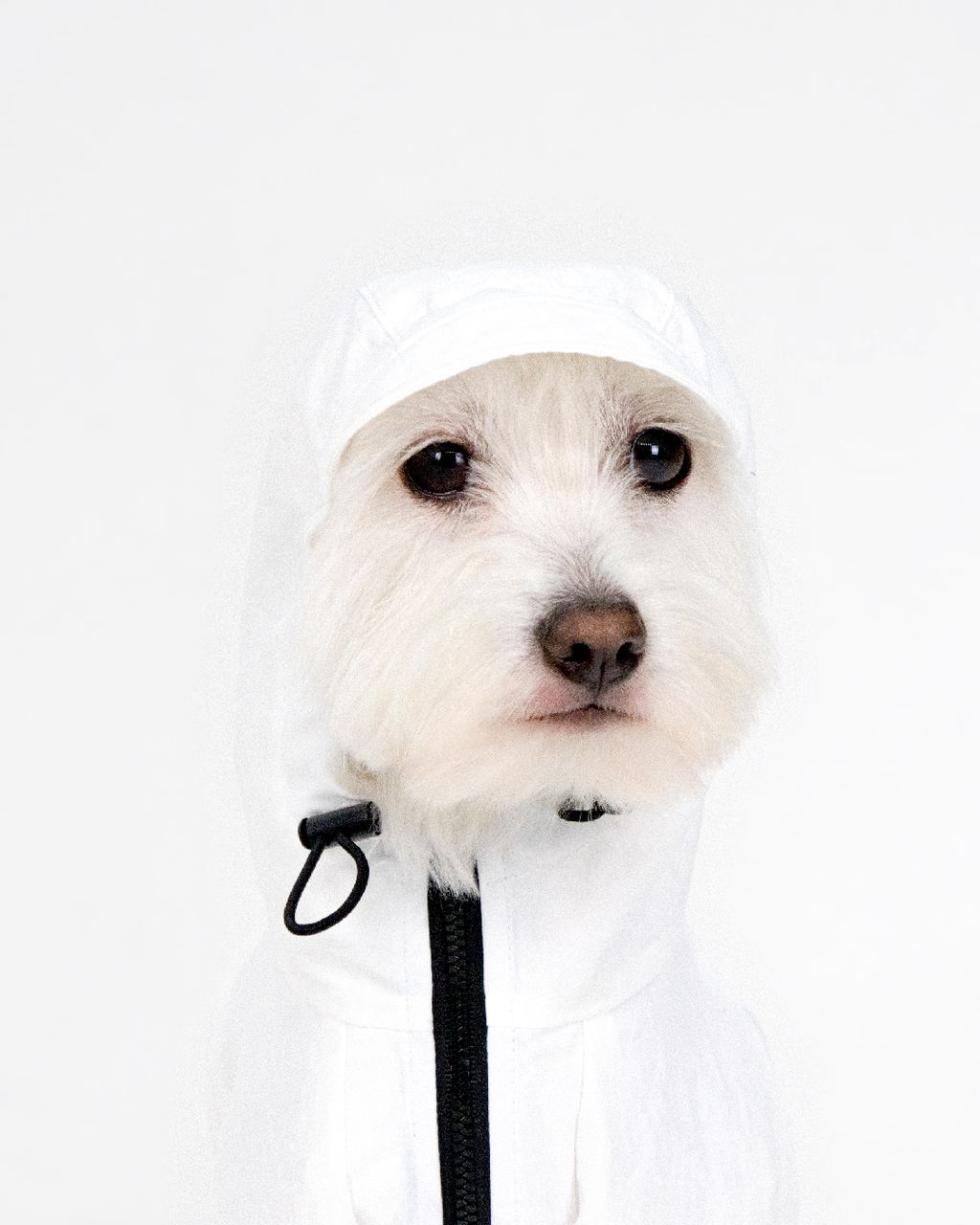 Paaawr｜經典防潑水風衣外套 Signature Windbreaker_White