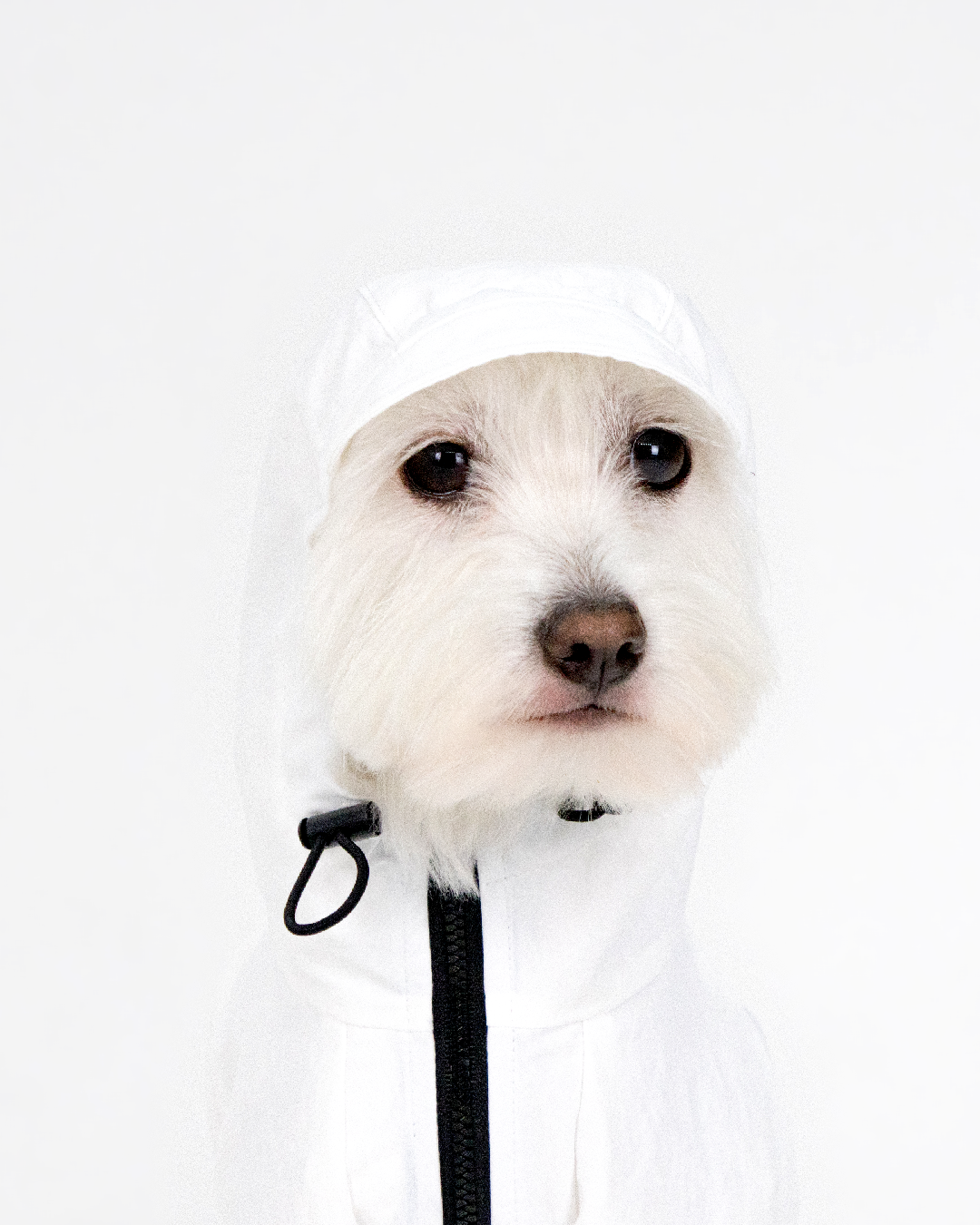 Paaawr｜經典防潑水風衣外套 Signature Windbreaker_White