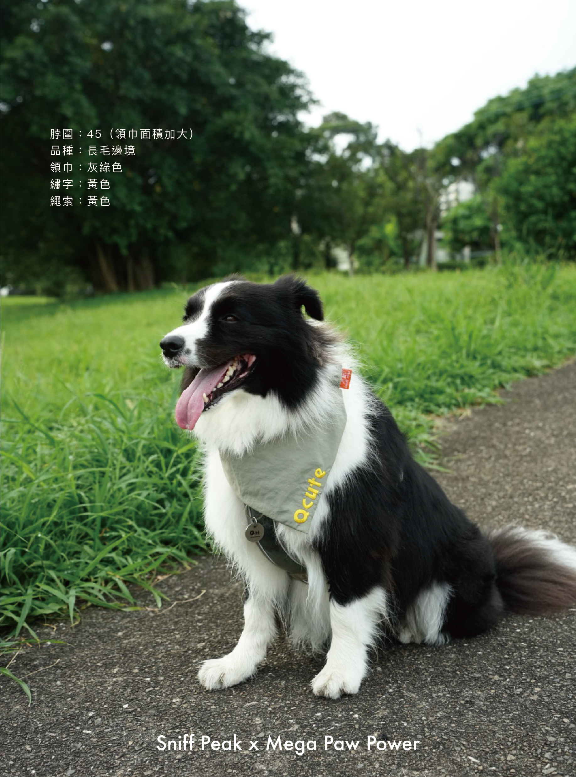 Sniff Peak｜豬腸巾（脖圍超過55cm）