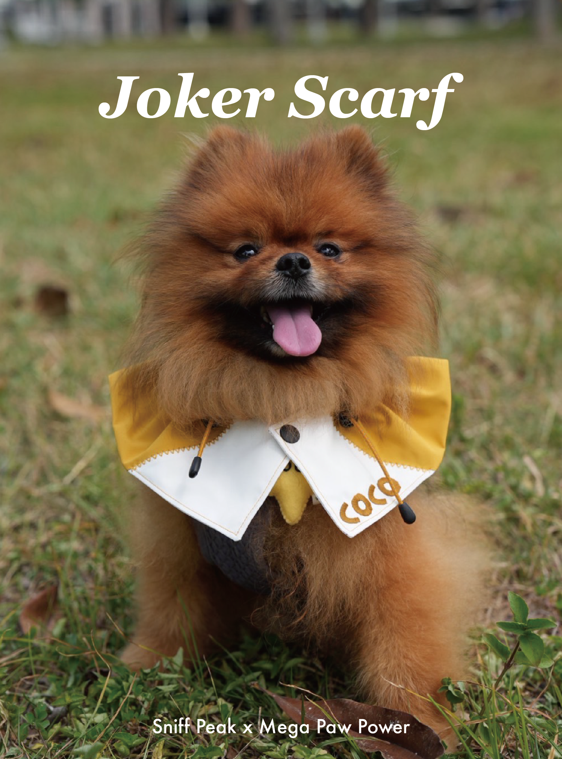 Sniff Peak｜JOKER 小丑領巾（第三團）