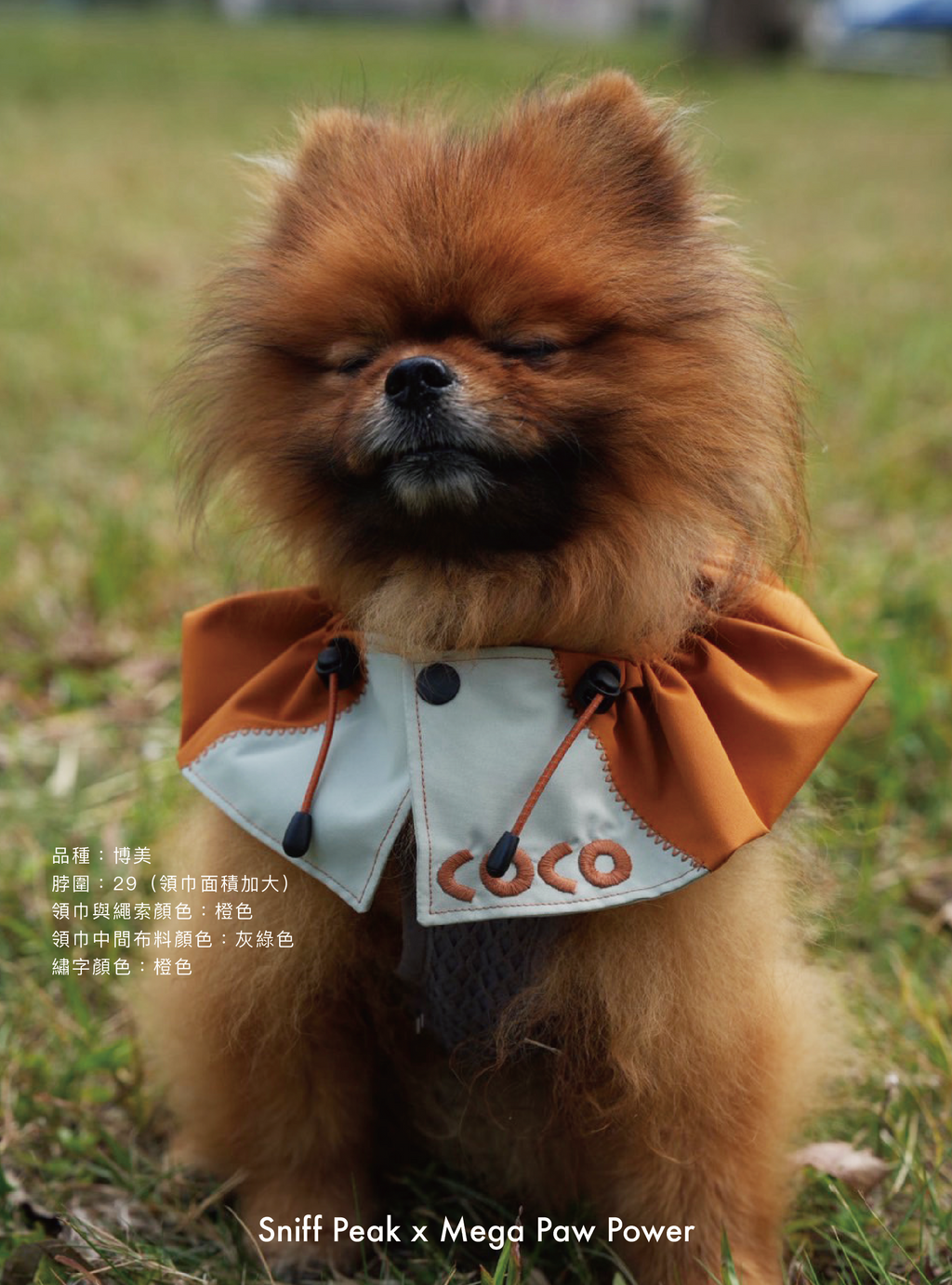 Sniff Peak｜JOKER 小丑領巾（第三團）