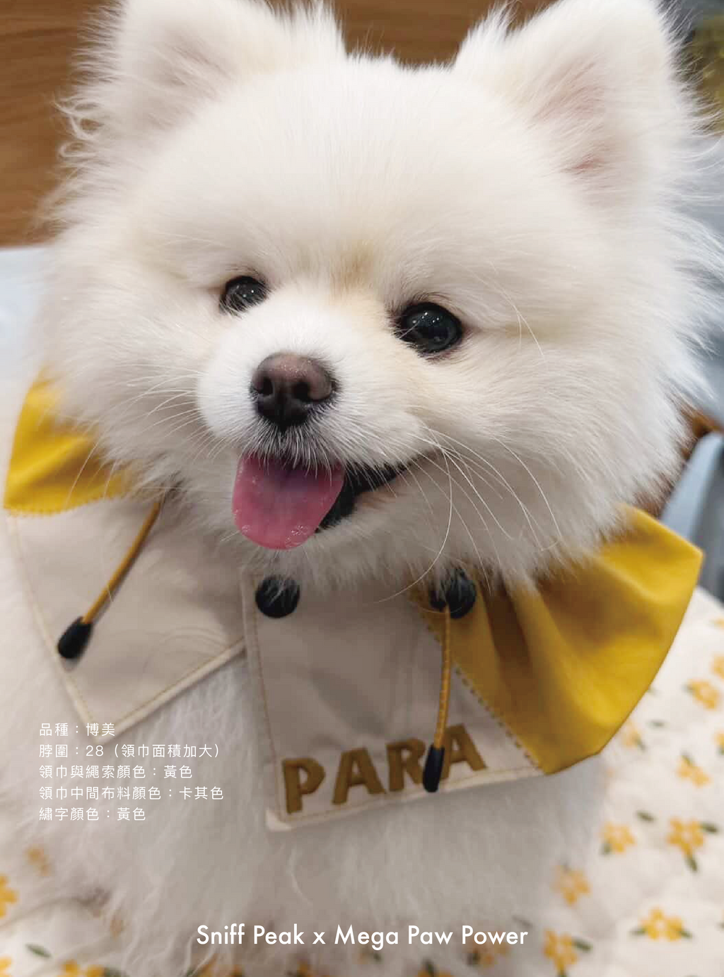 Sniff Peak｜JOKER 小丑領巾（第三團）