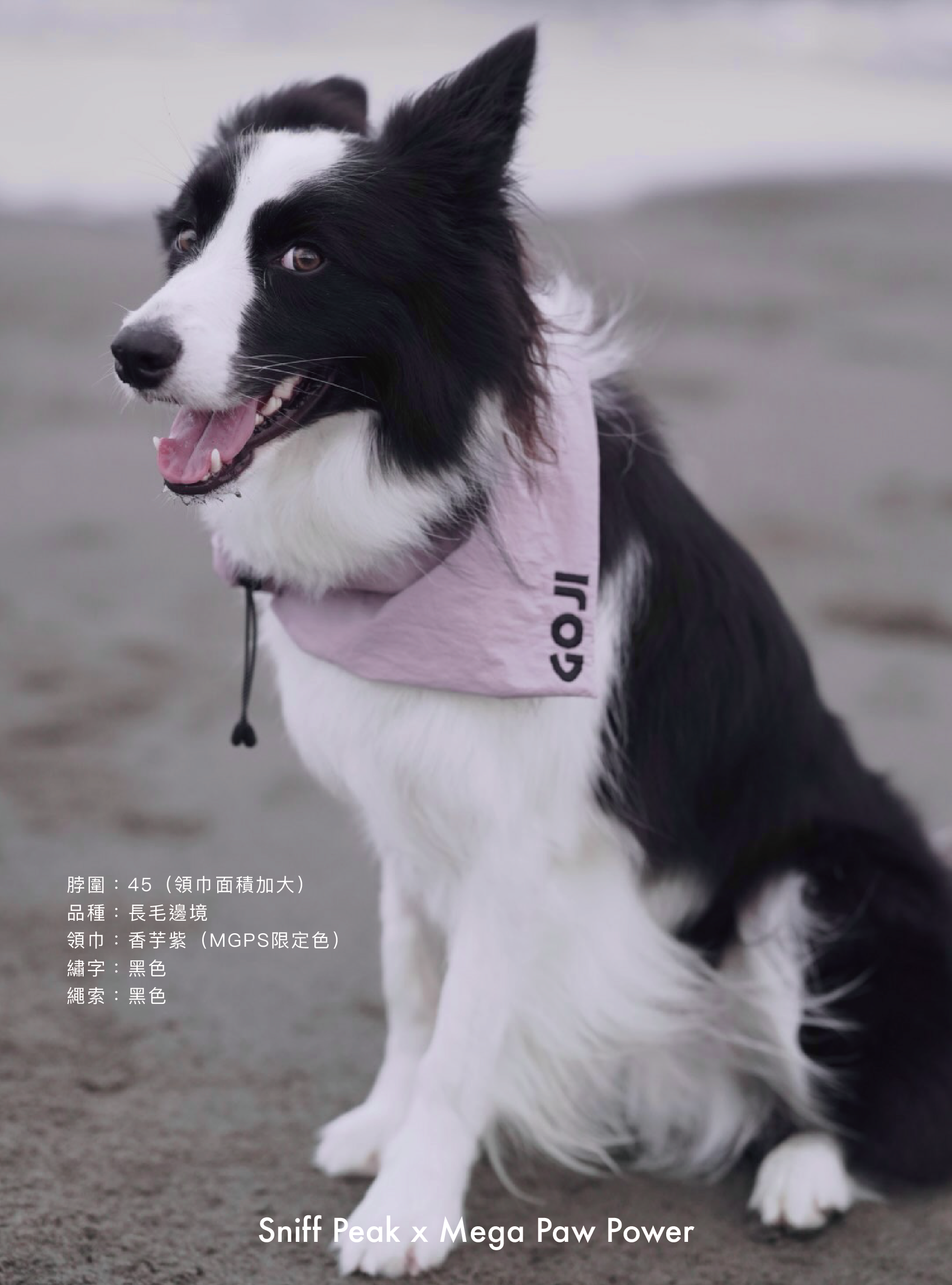 Sniff Peak｜豬腸巾（第6團）