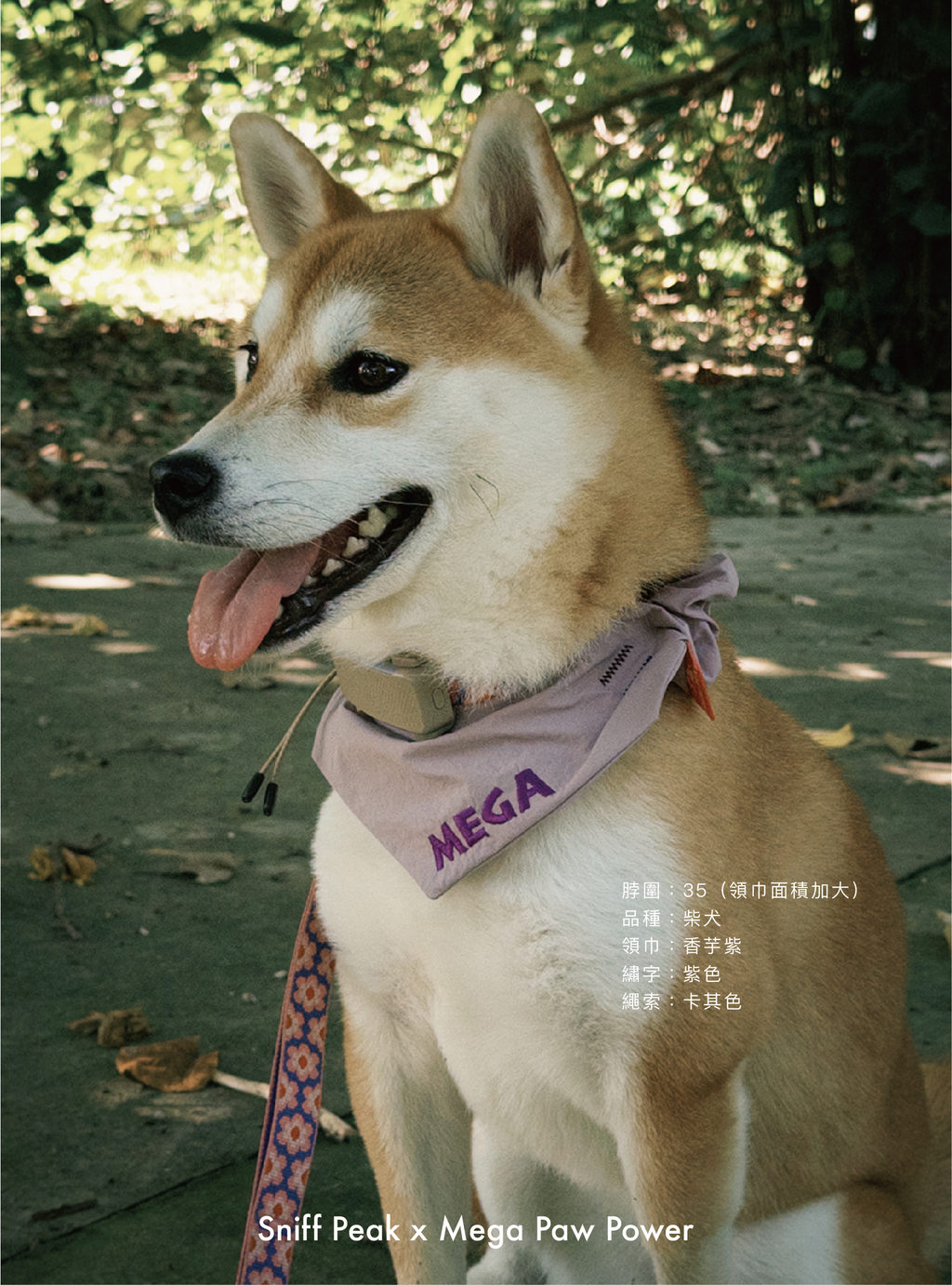 Sniff Peak｜豬腸巾（第6團）