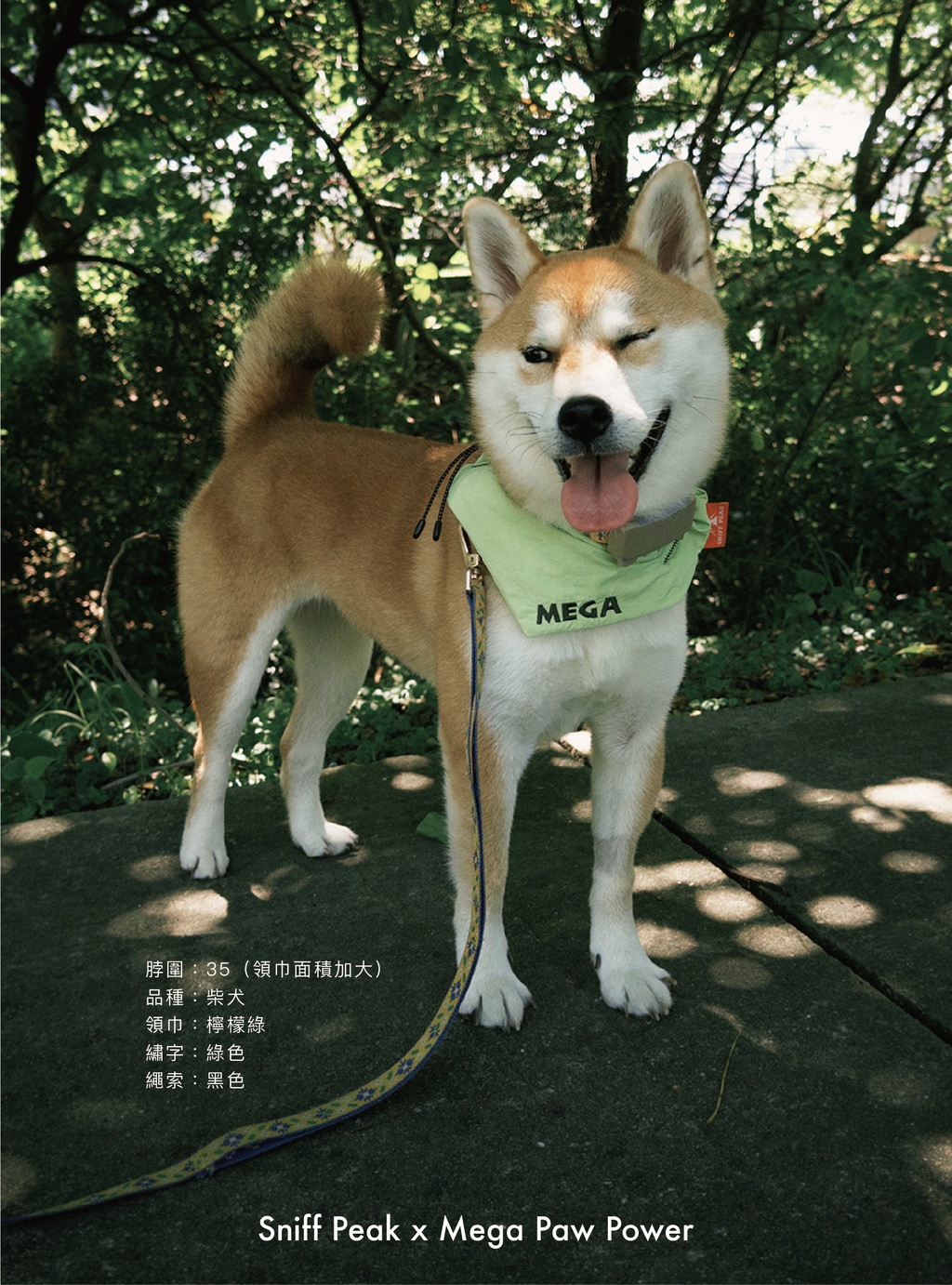 Sniff Peak｜豬腸巾（第6團）