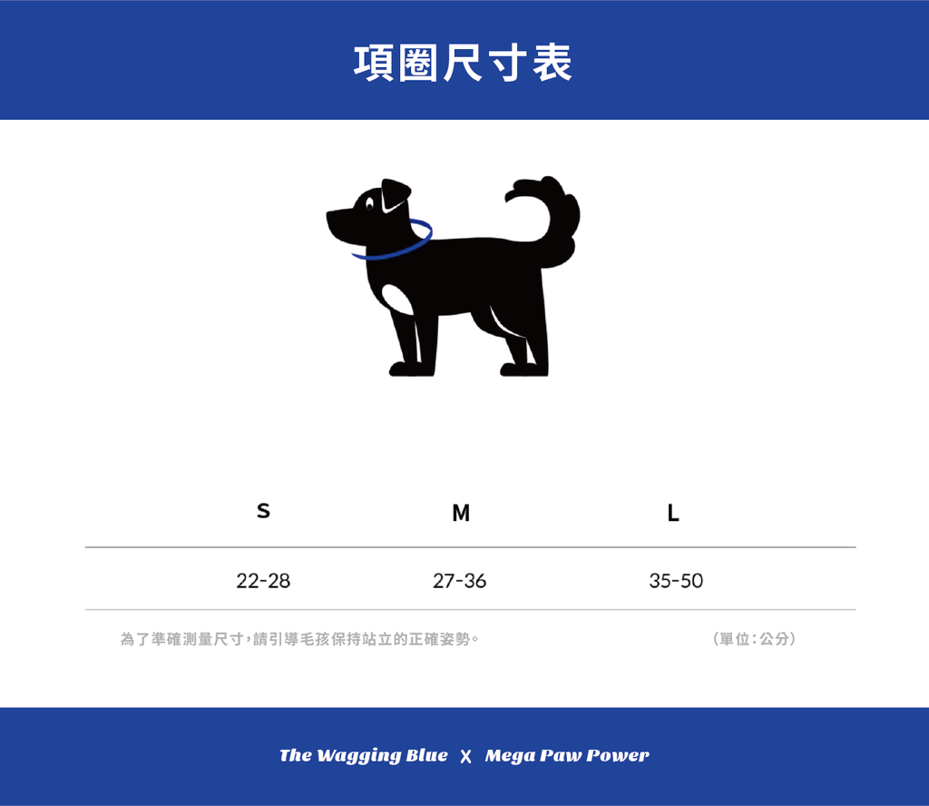 【寵物展組合優惠折百】TWB｜經典系列散步組合（經典項圈+牽繩）