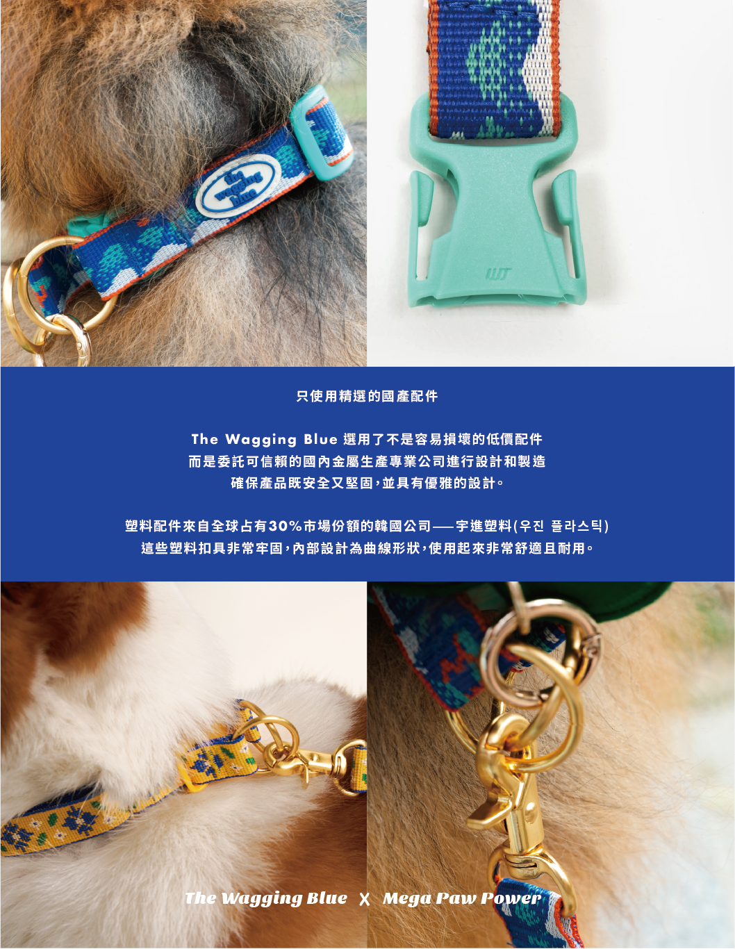 【寵物展組合優惠折百】TWB｜經典系列散步組合（經典項圈+牽繩）