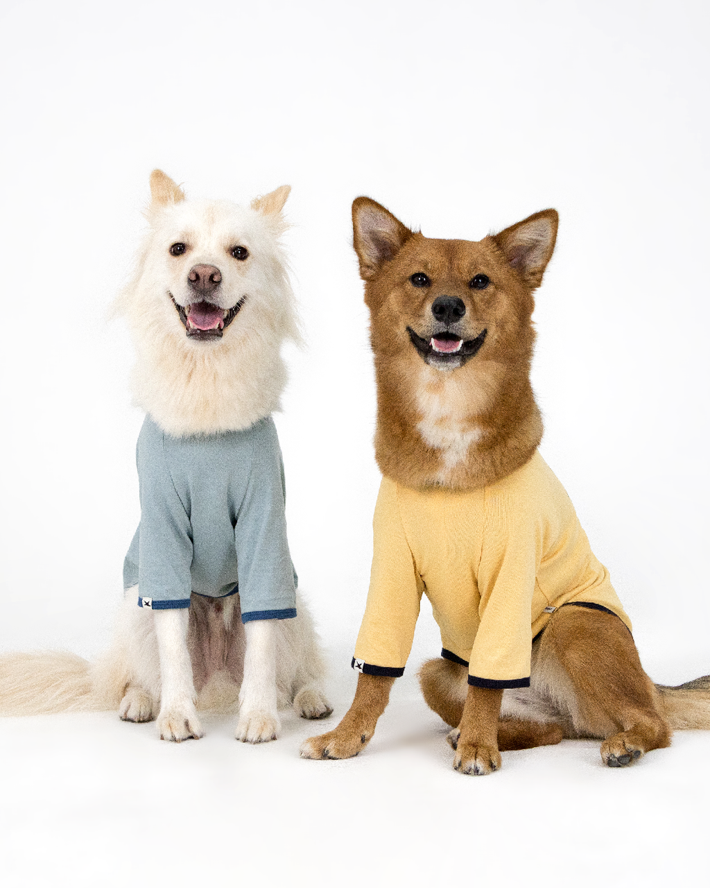 Paaawr｜星光撞色滾邊T Twinkle Ringer Tee_Yellow
