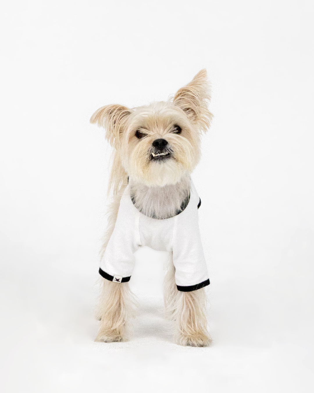 Paaawr｜星光撞色滾邊T Twinkle Ringer Tee_White