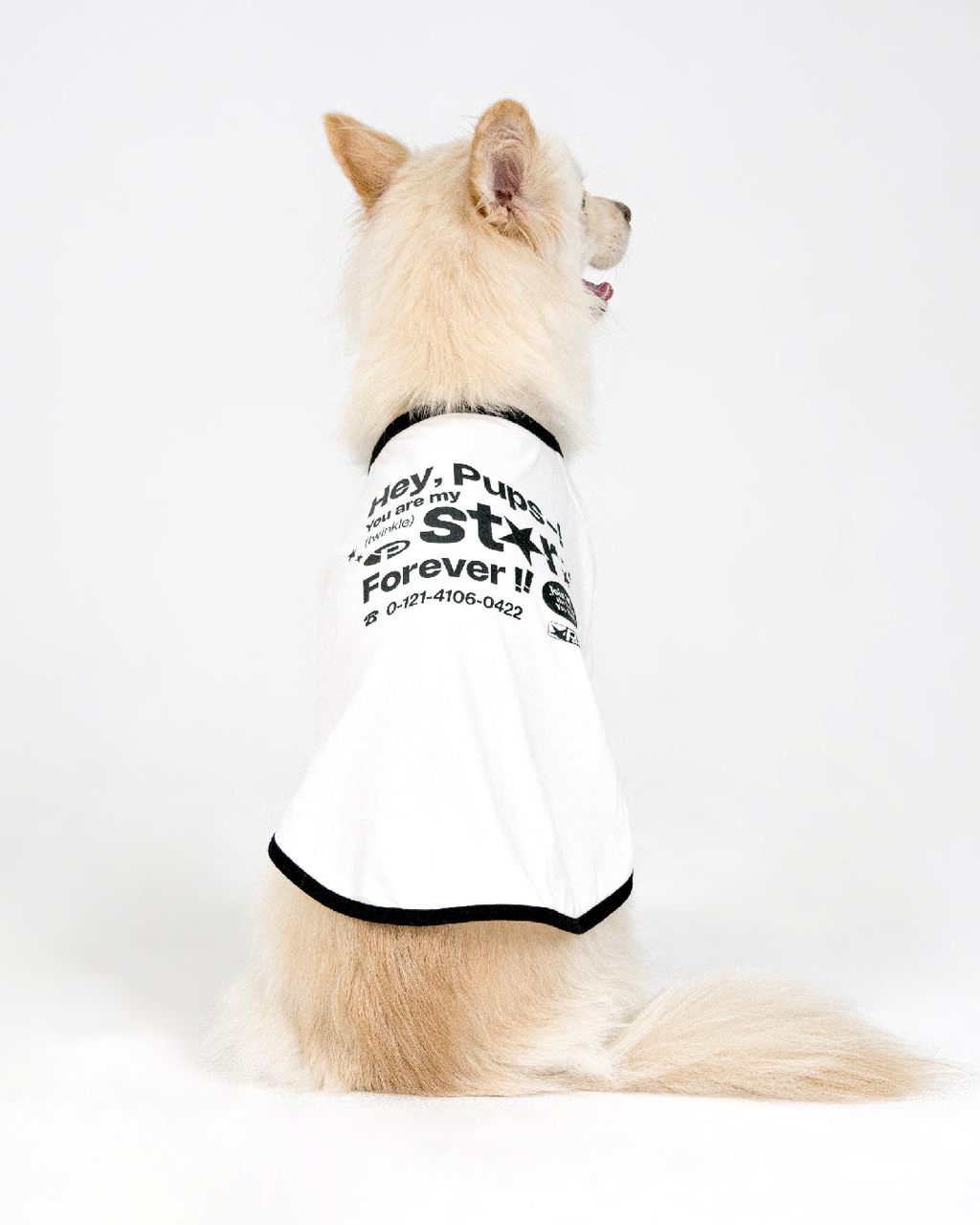 Paaawr｜星光撞色滾邊T Twinkle Ringer Tee_White