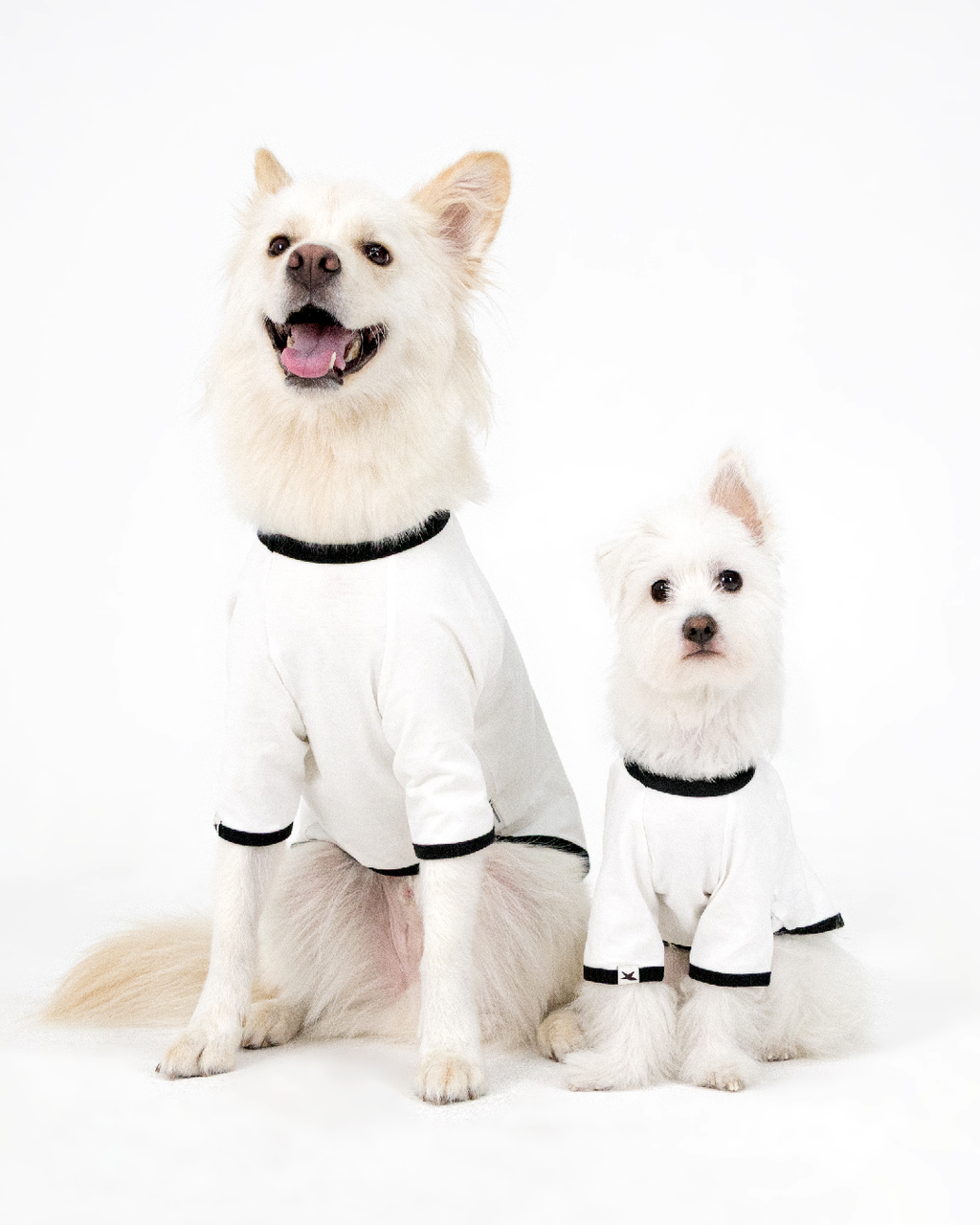 Paaawr｜星光撞色滾邊T Twinkle Ringer Tee_White