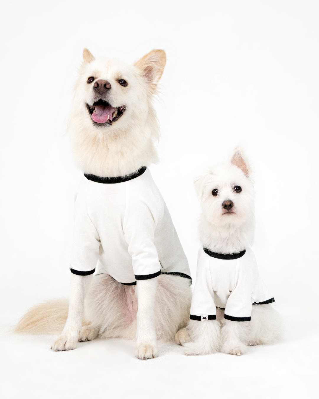 Paaawr｜星光撞色滾邊T Twinkle Ringer Tee_White