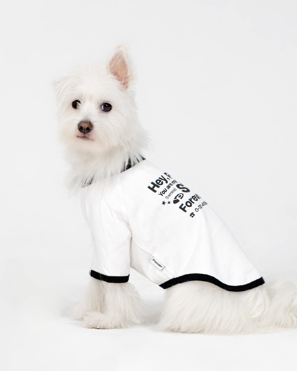 Paaawr｜星光撞色滾邊T Twinkle Ringer Tee_White