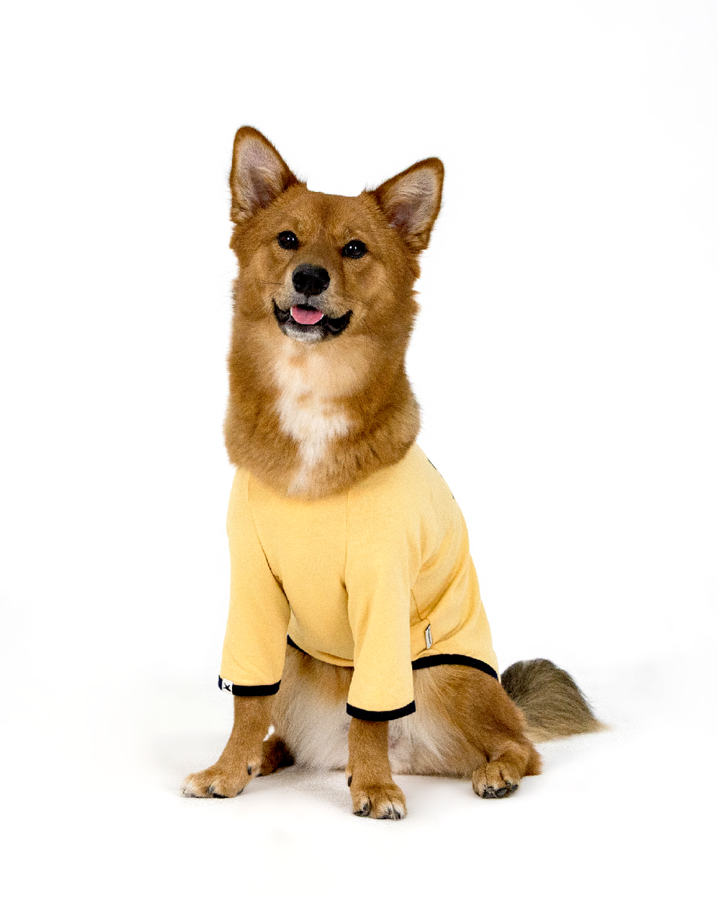 Paaawr｜星光撞色滾邊T Twinkle Ringer Tee_Yellow