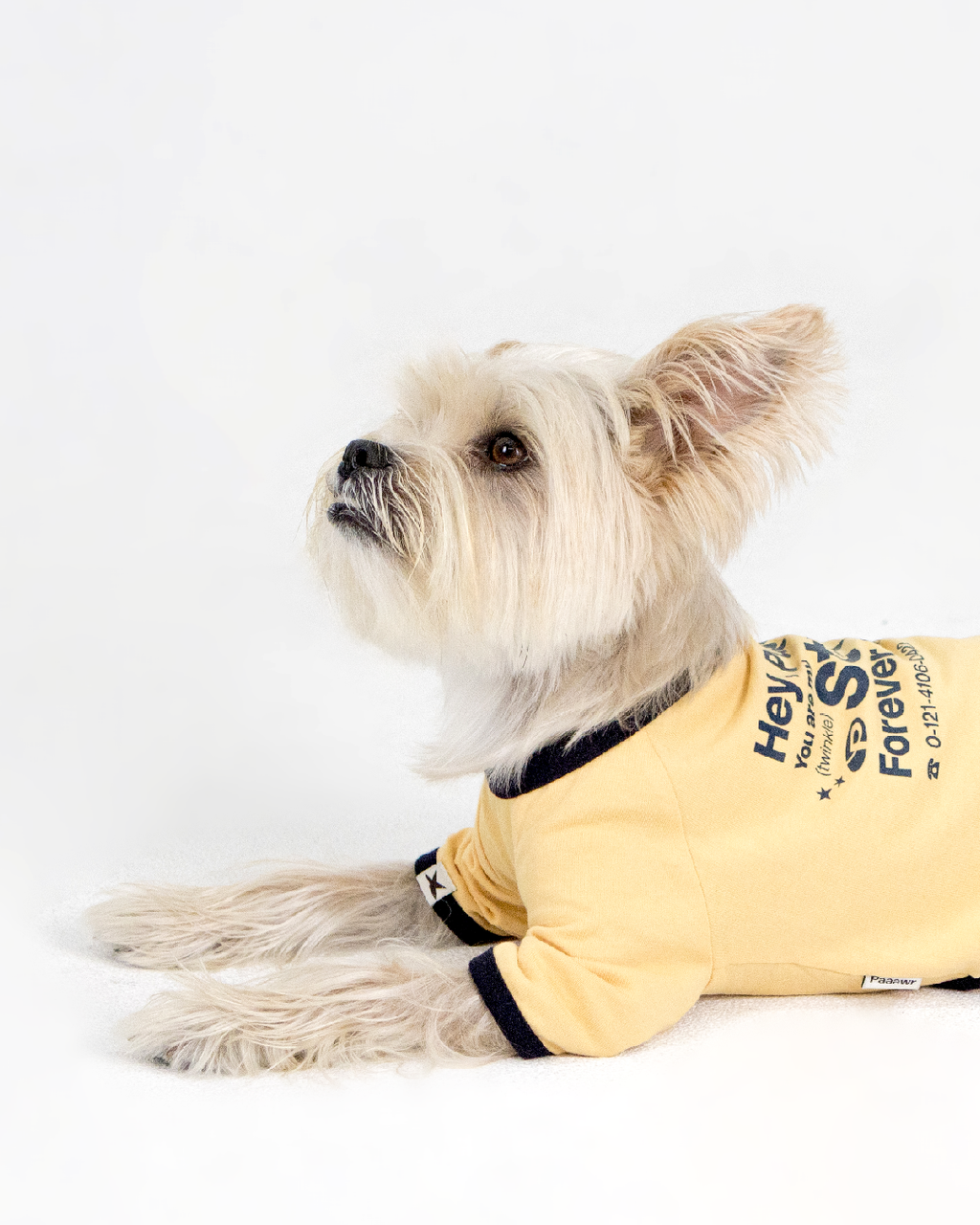 Paaawr｜星光撞色滾邊T Twinkle Ringer Tee_Yellow