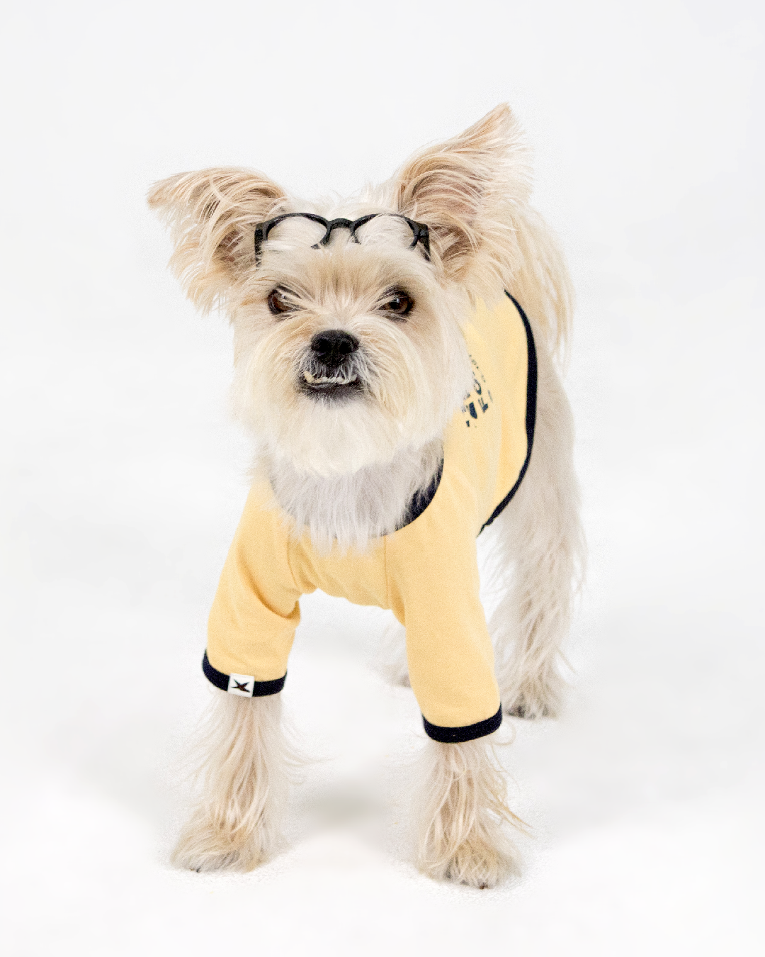 Paaawr｜星光撞色滾邊T Twinkle Ringer Tee_Yellow