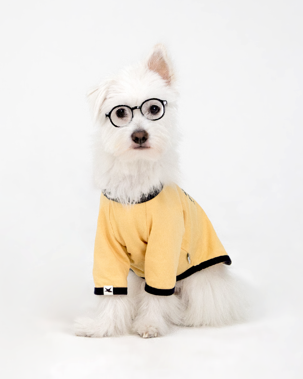 Paaawr｜星光撞色滾邊T Twinkle Ringer Tee_Yellow
