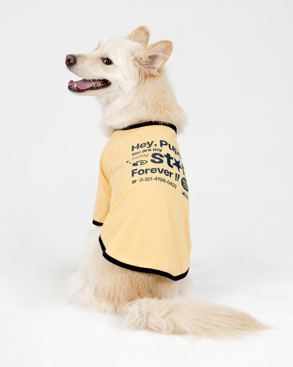 Paaawr｜星光撞色滾邊T Twinkle Ringer Tee_Yellow