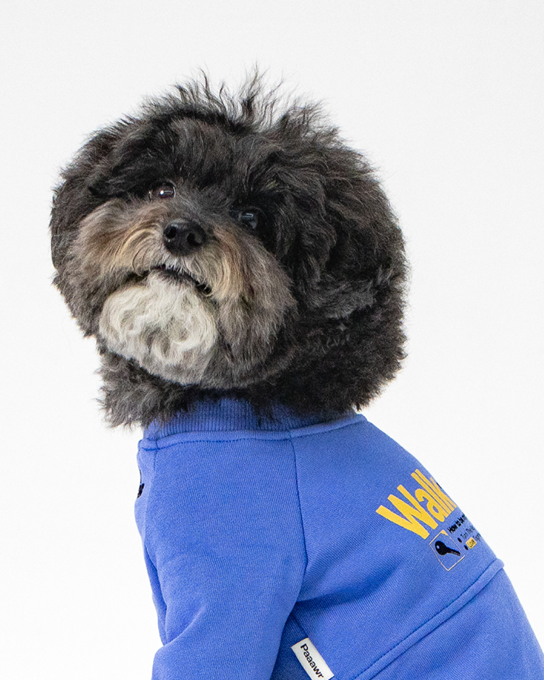 Paaawr｜一起散步厚棉上衣 Walk Together Sweat shirt_Blue