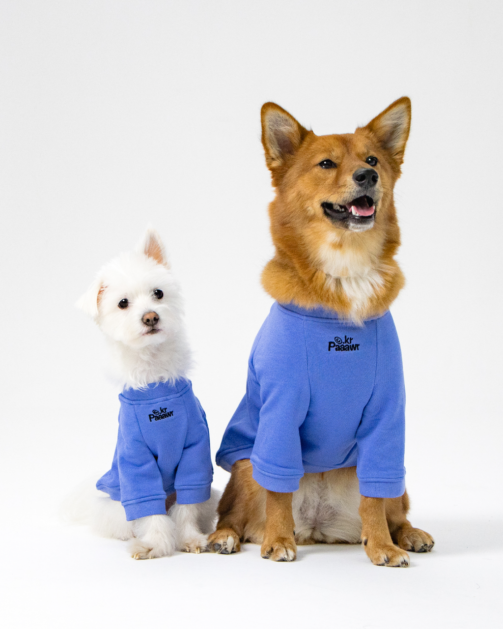 Paaawr｜一起散步厚棉上衣 Walk Together Sweat shirt_Blue