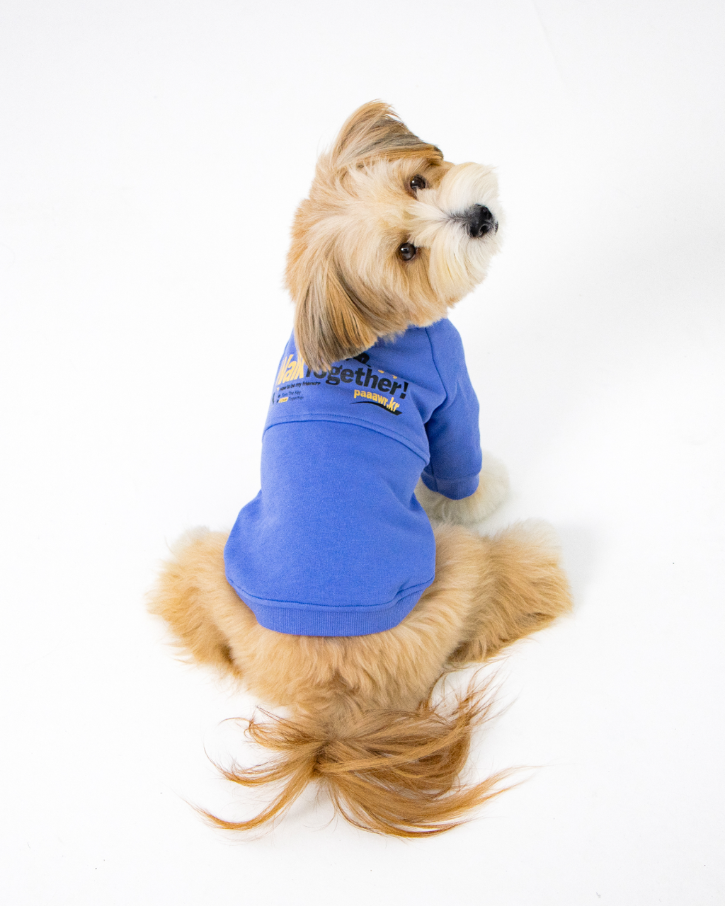 Paaawr｜一起散步厚棉上衣 Walk Together Sweat shirt_Blue