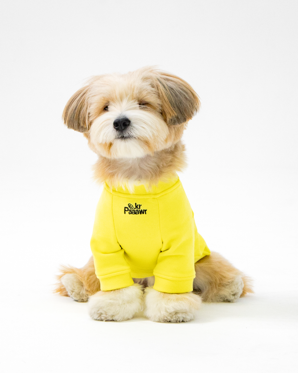Paaawr｜一起散步厚棉上衣 Walk Together Sweat shirt_Lemon