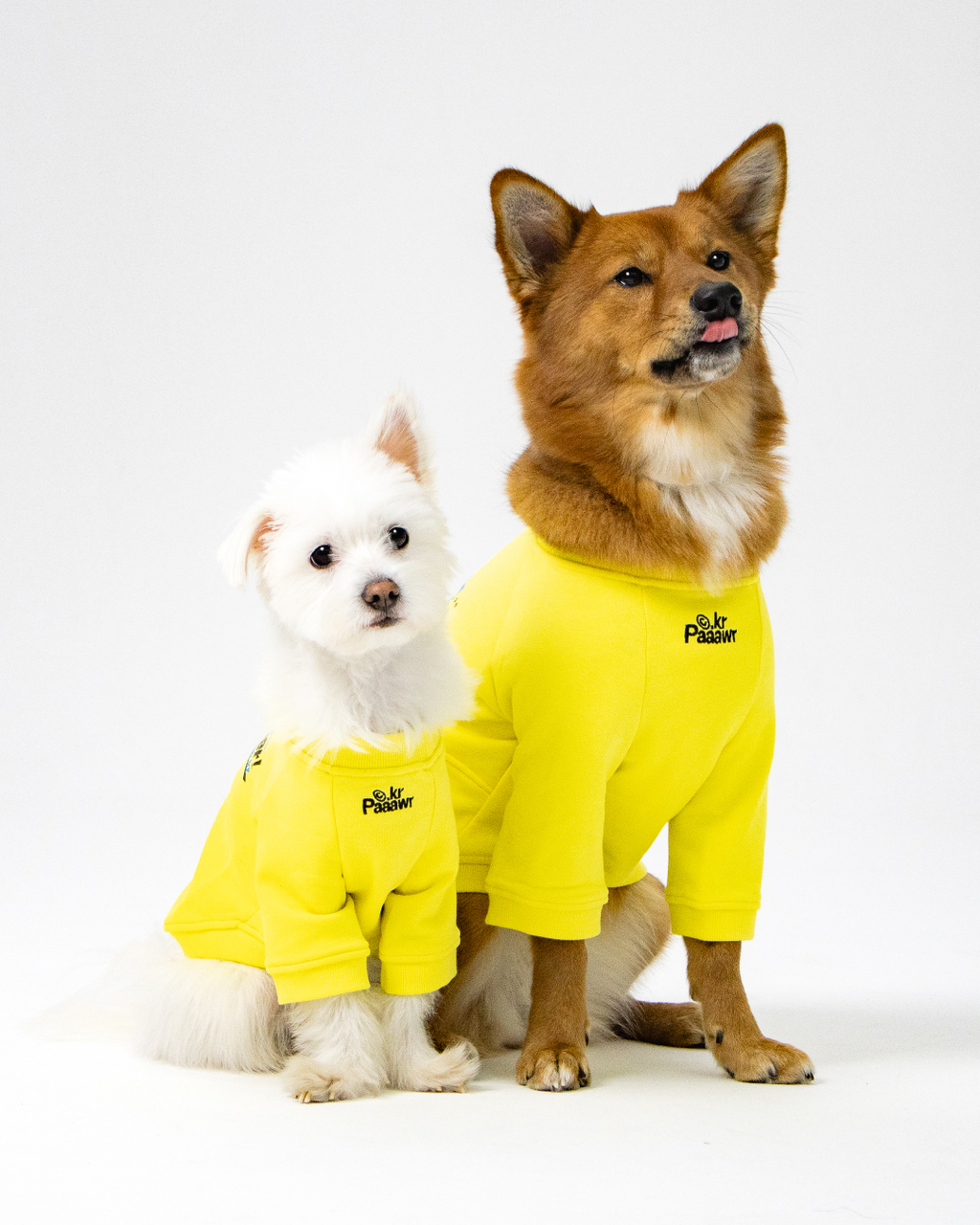 Paaawr｜一起散步厚棉上衣 Walk Together Sweat shirt_Lemon