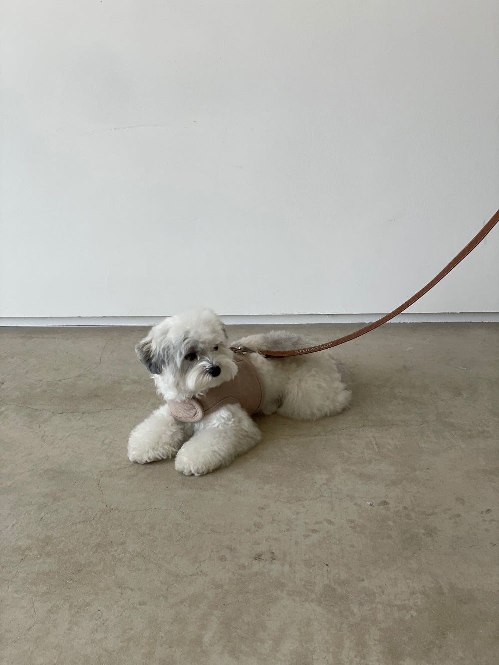 Studio3Up｜舒適棉質牽繩｜PRETZEL comfy cotton leash