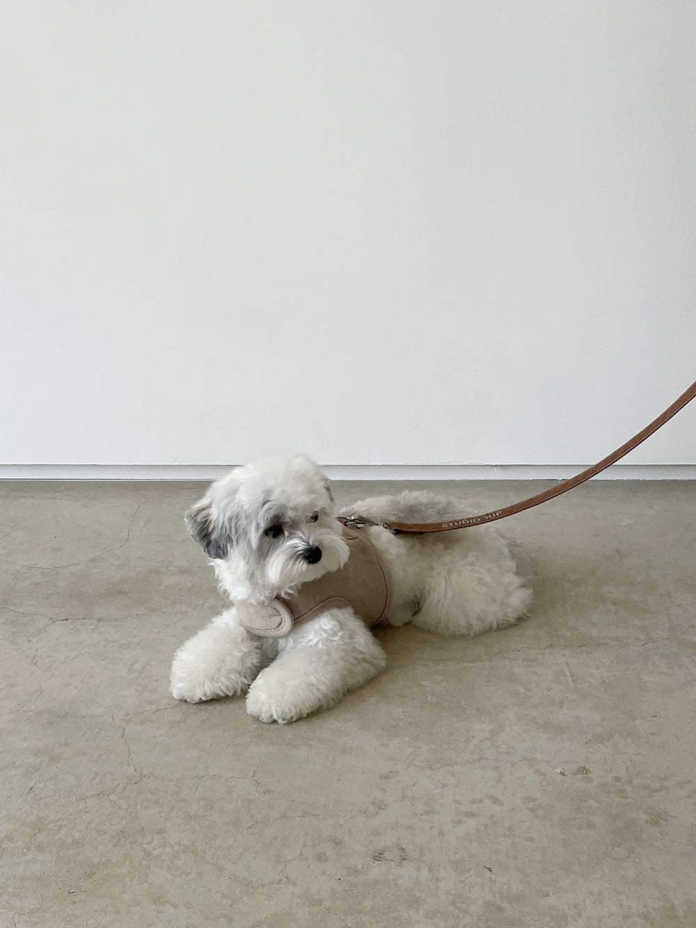 Studio3Up｜舒適胸背帶＋棉質牽繩組｜PRETZEL comfy harness & cotton leash