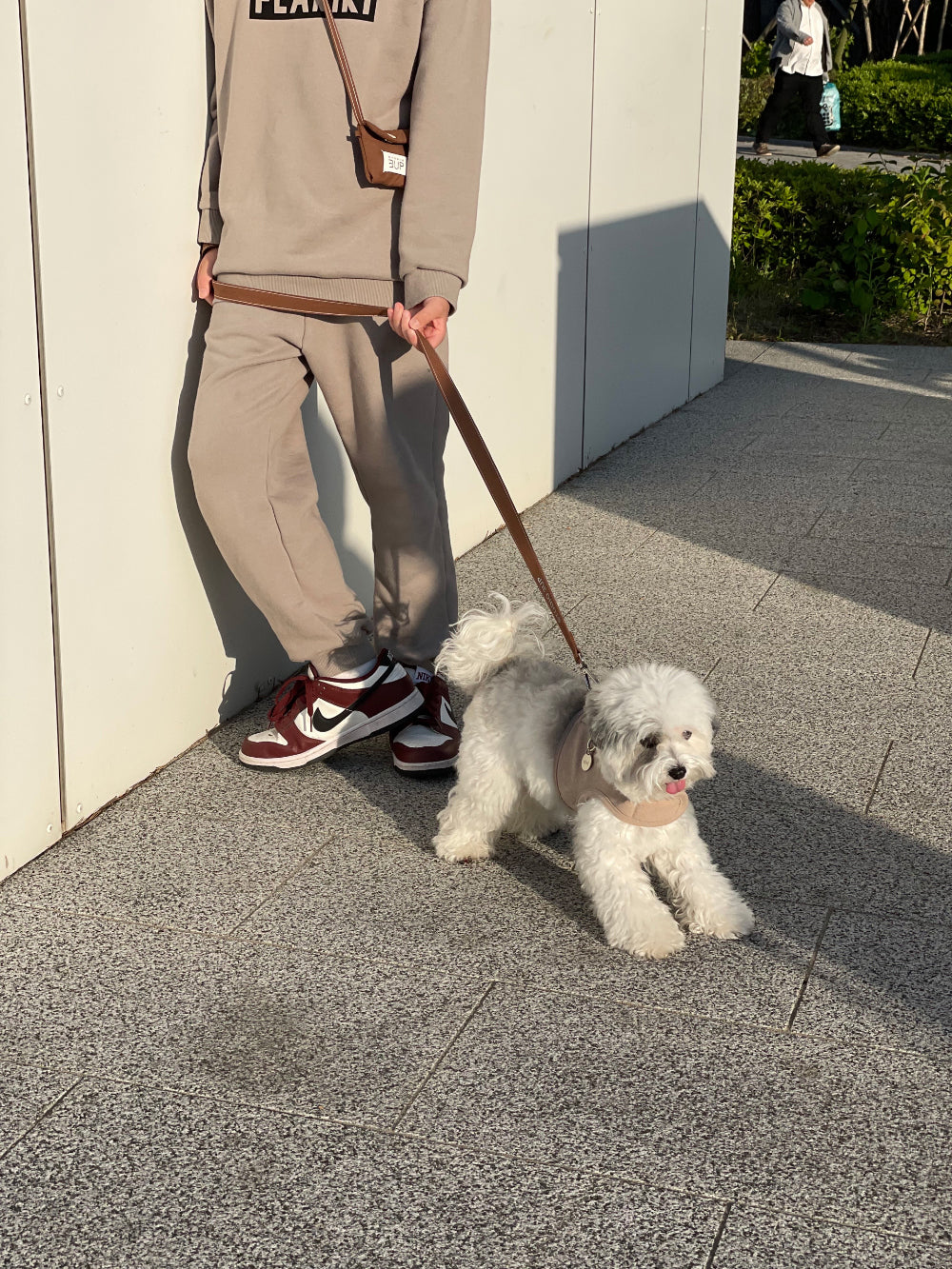 Studio3Up｜舒適胸背帶＋圓形吊牌組｜PRETZEL comfy harness & CIRCLE name tag