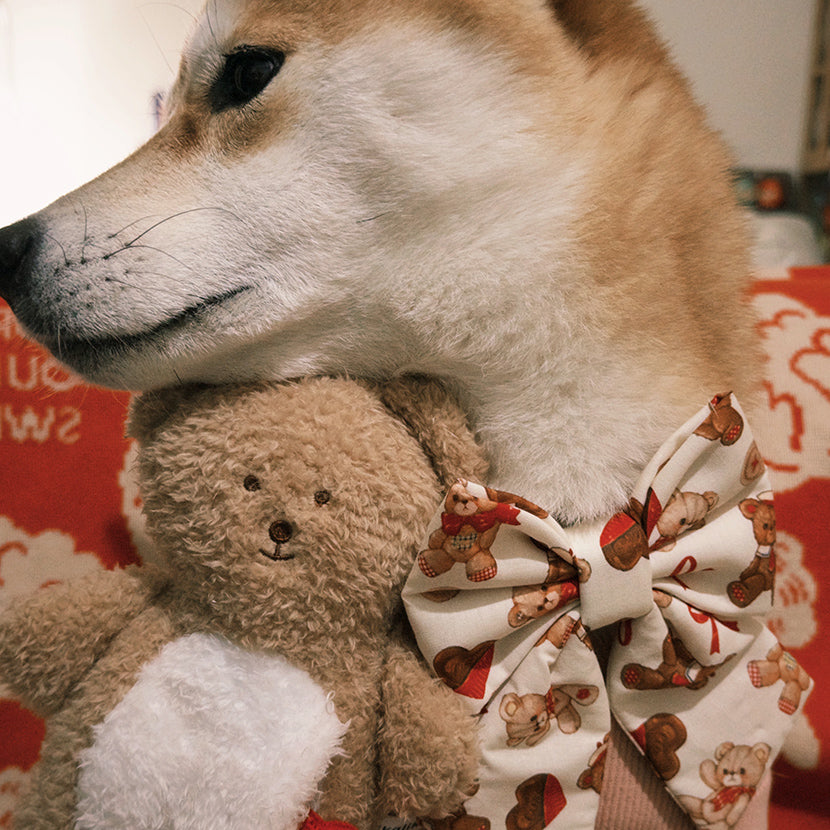 TWB｜Xmas Bear Ribbon｜聖誕熊熊蝴蝶結