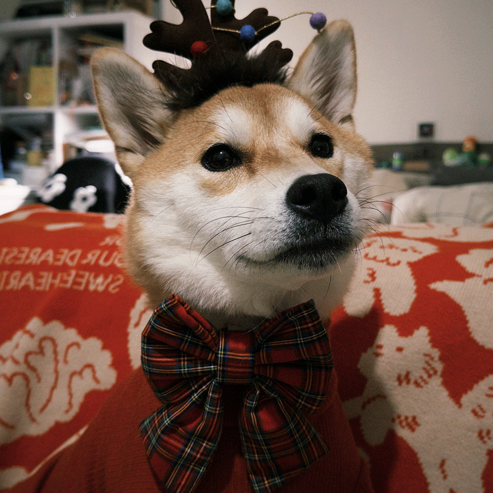 TWB｜Xmas Plaid Ribbon｜聖誕格子蝴蝶結（部分現貨）
