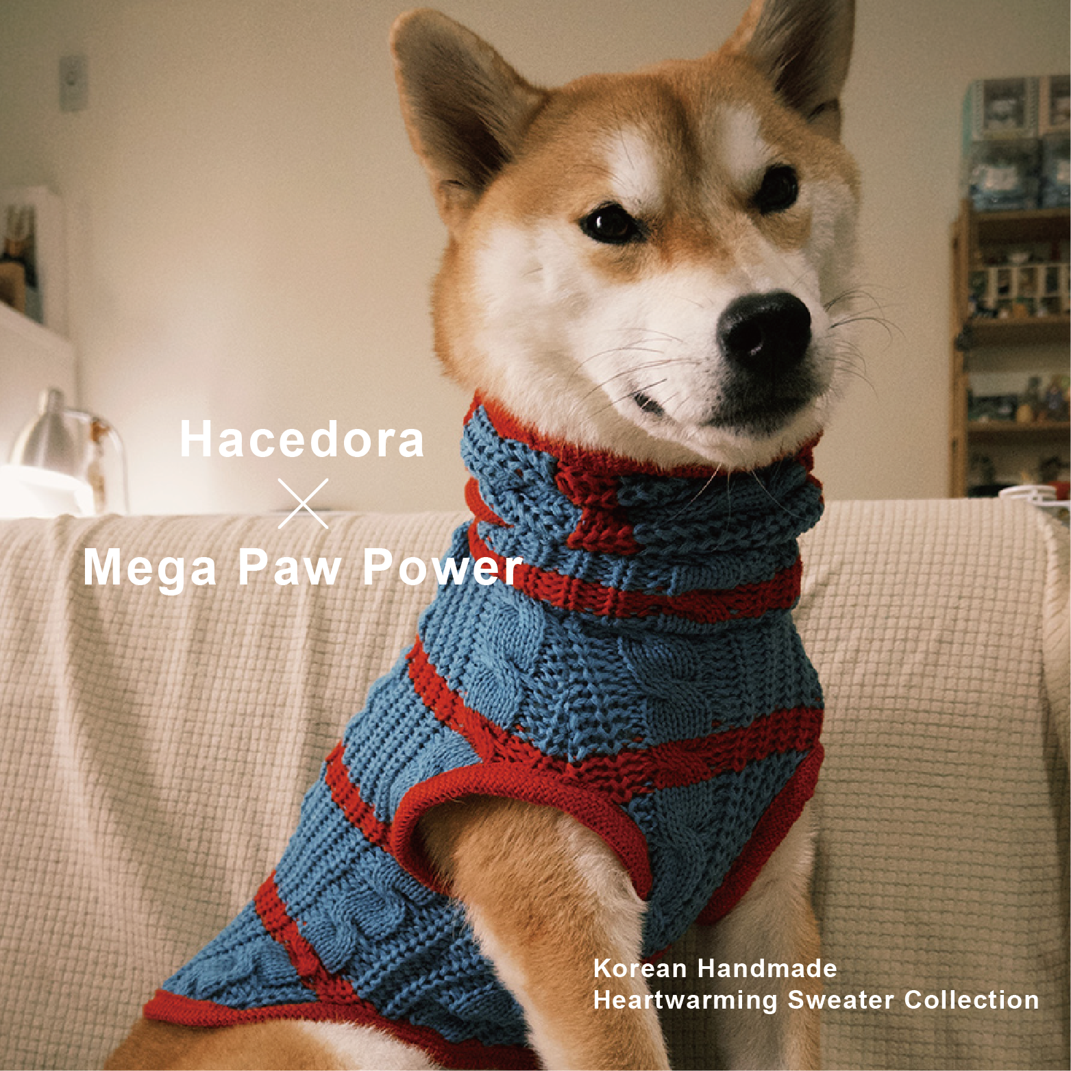 Hacedora｜冬日散步 - 狗狗毛衣背心