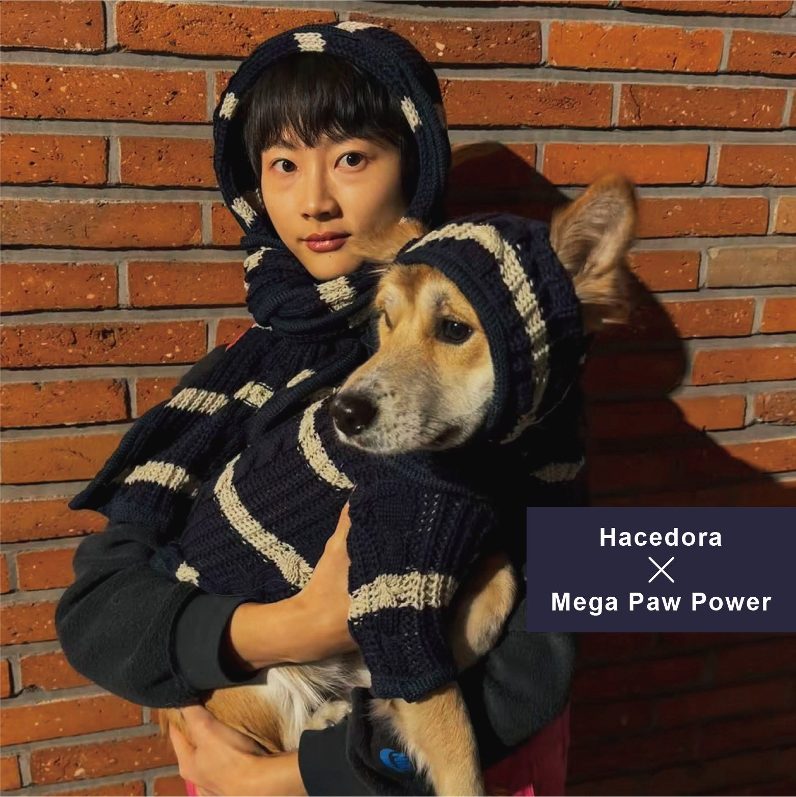 Hacedora｜冬日散步 - 狗狗圍巾