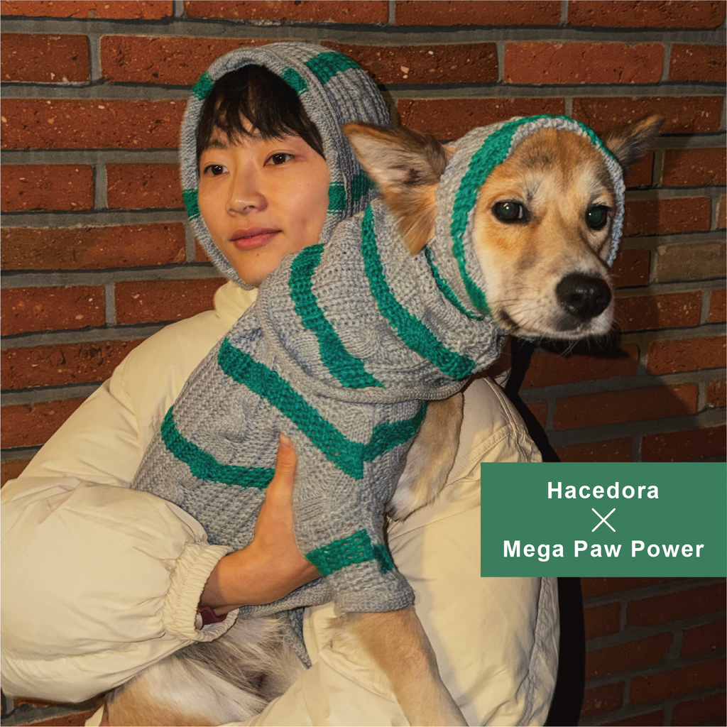 Hacedora｜冬日散步 - 狗狗圍巾
