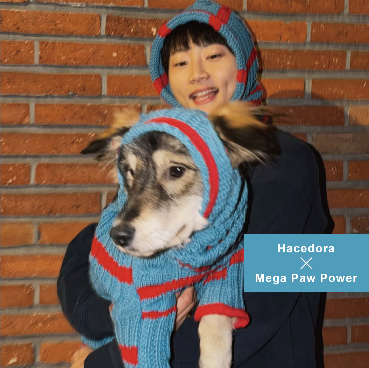 Hacedora｜冬日散步 - 狗狗圍巾