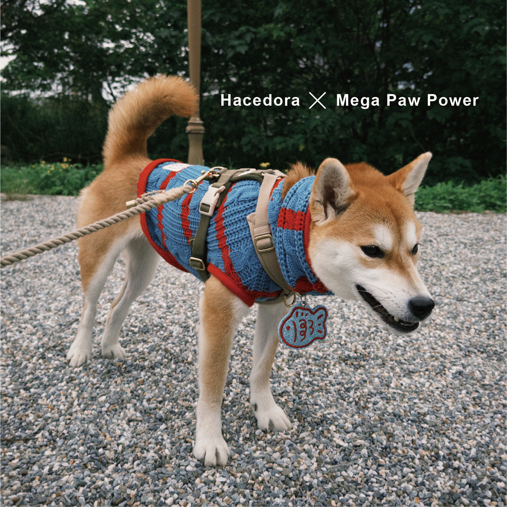 Hacedora｜冬日散步 - 狗狗毛衣背心